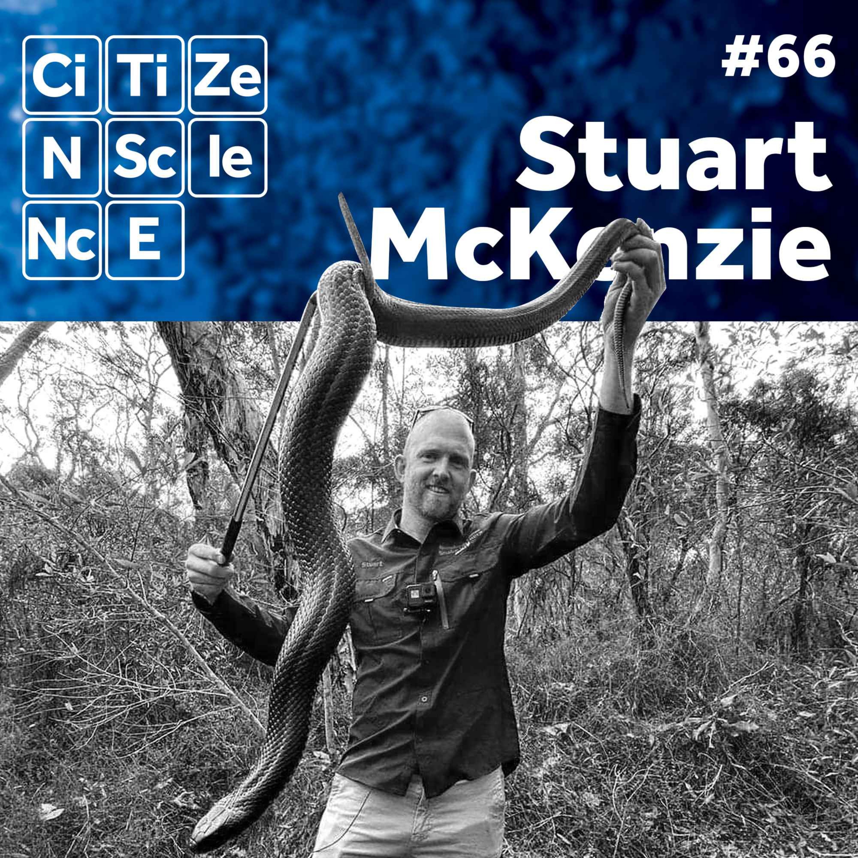 #066 - Stuart McKenzie | The Snake Catcher | Sunshine Coast Snake Catchers 24/7 | Aussie Snake Wranglers episode artwork