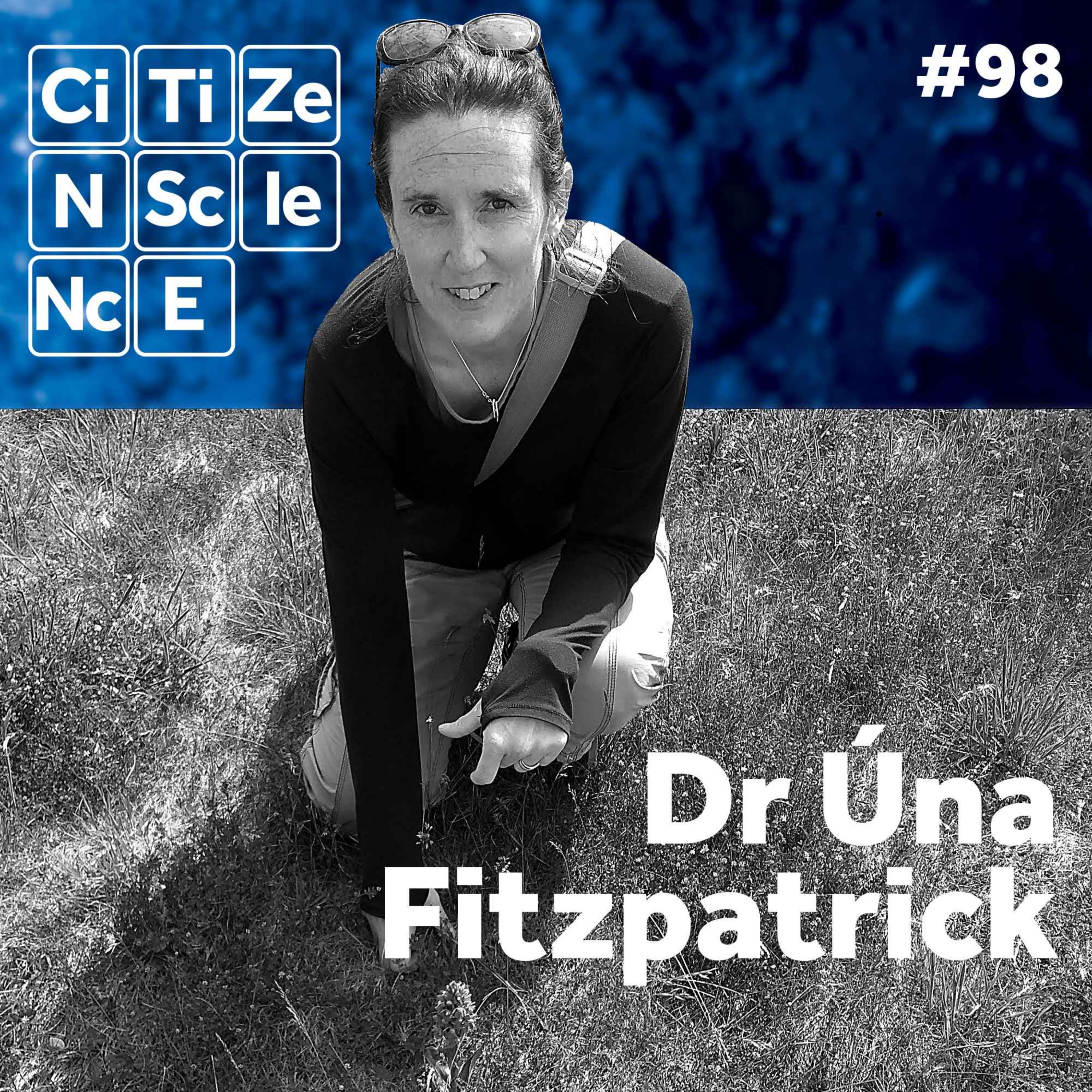 #098 Ireland’s Pollinator Revival: From Data to Meadow Blooms with Dr. Úna Fitzpatrick episode artwork