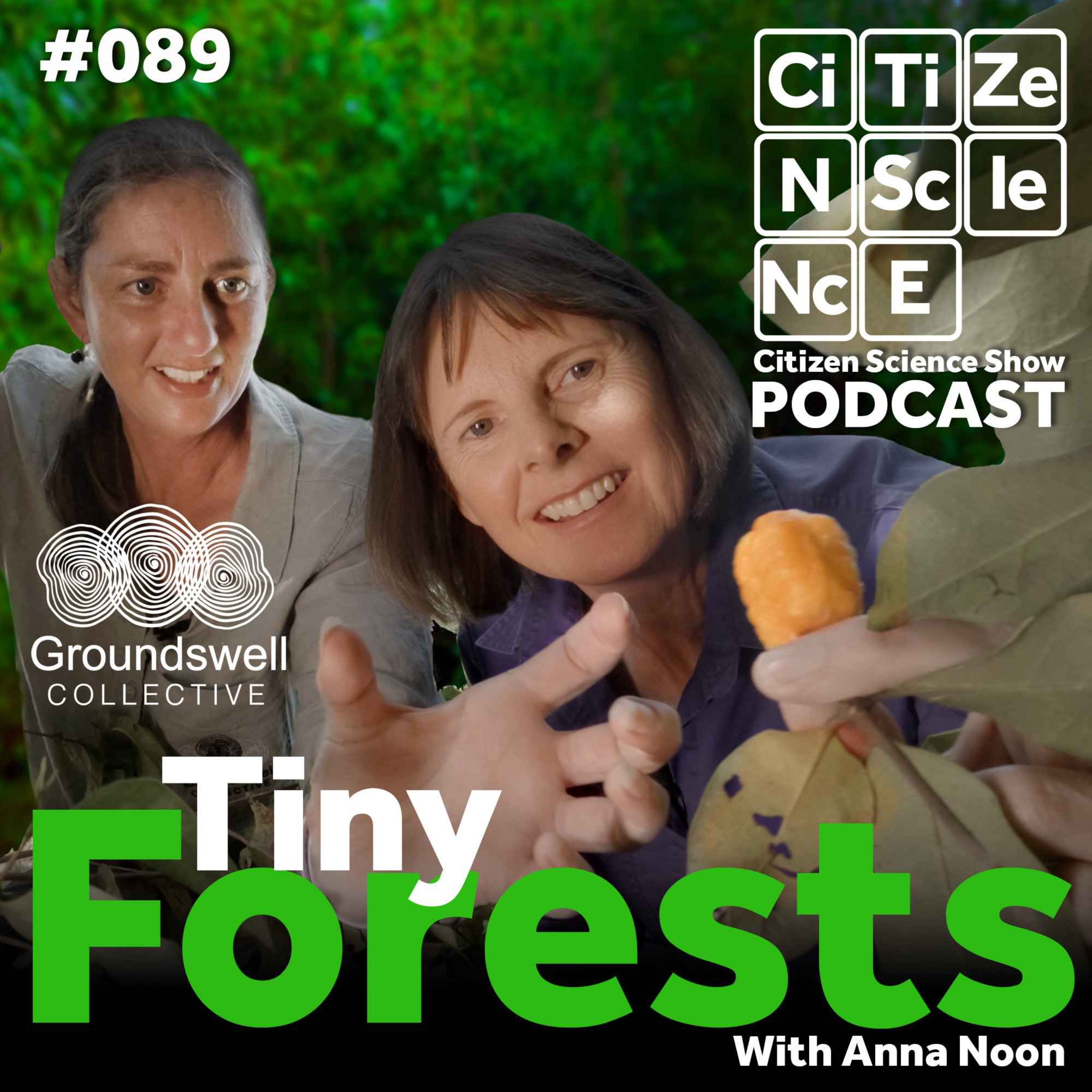 #089 Restoring Nature One Forest at a Time with Anna Noon episode artwork