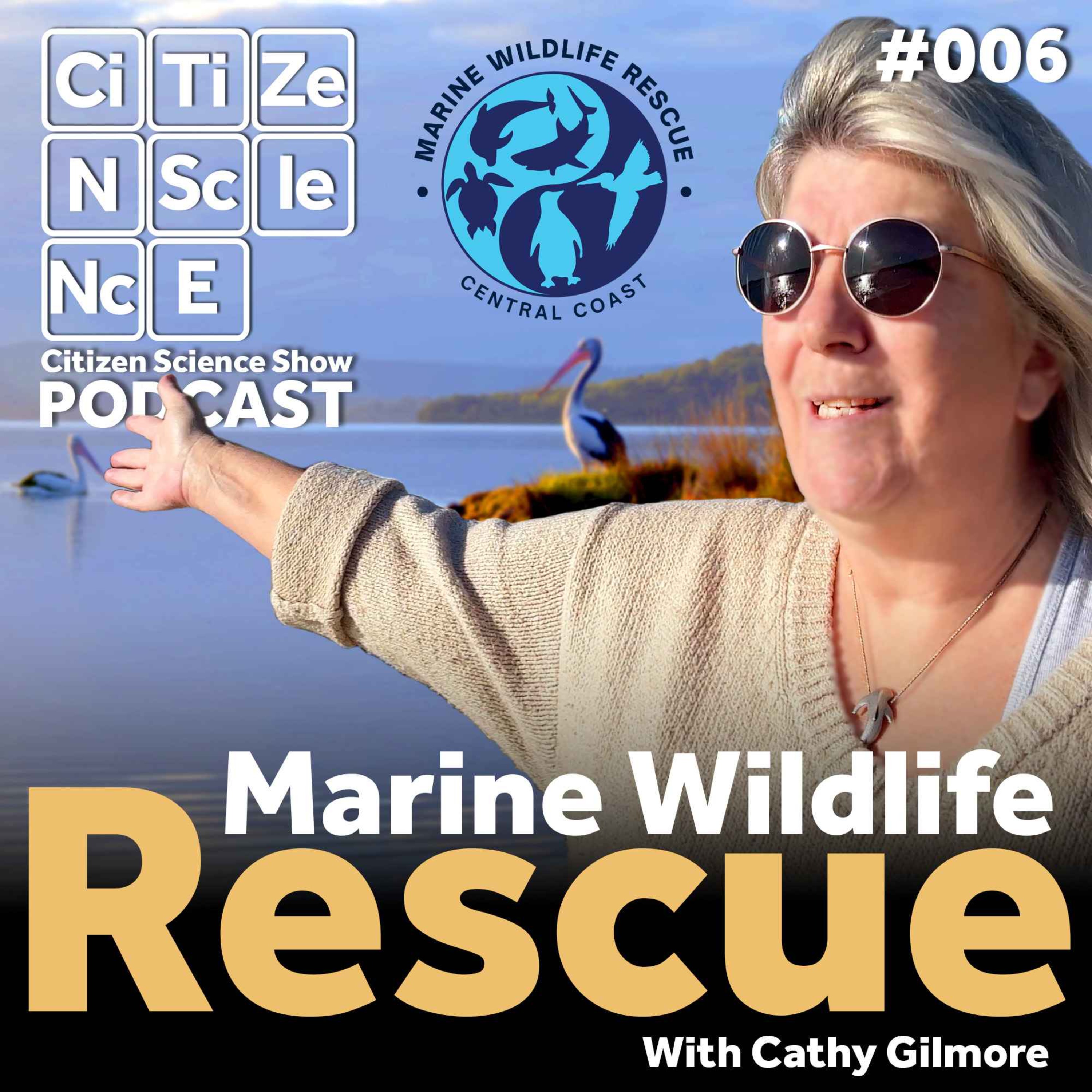 #006 Fighting for the Ocean That Keeps Us Alive with Cathy Gilmore episode artwork