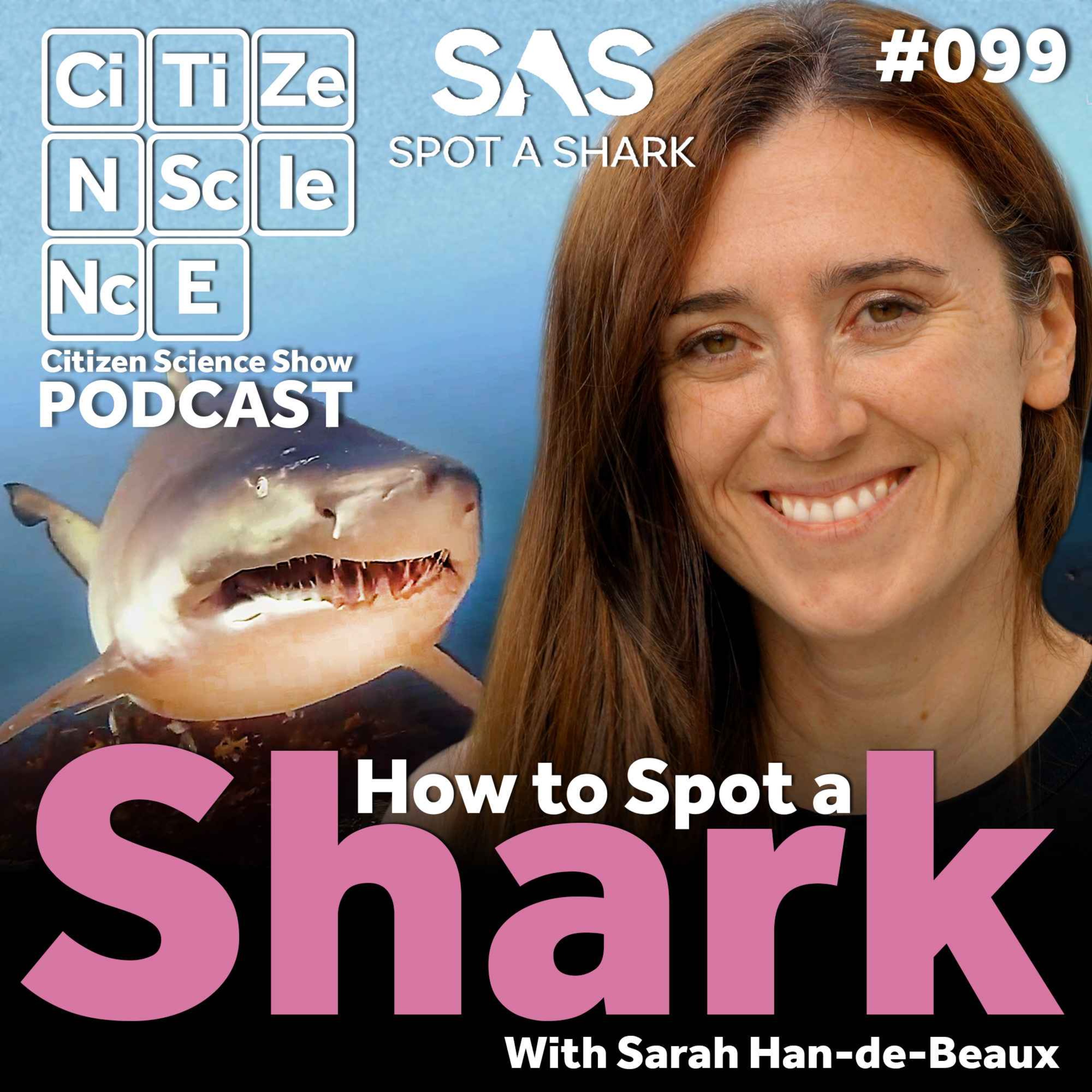 #099 How to Spot a Shark with Sarah Han-de-Beaux episode artwork