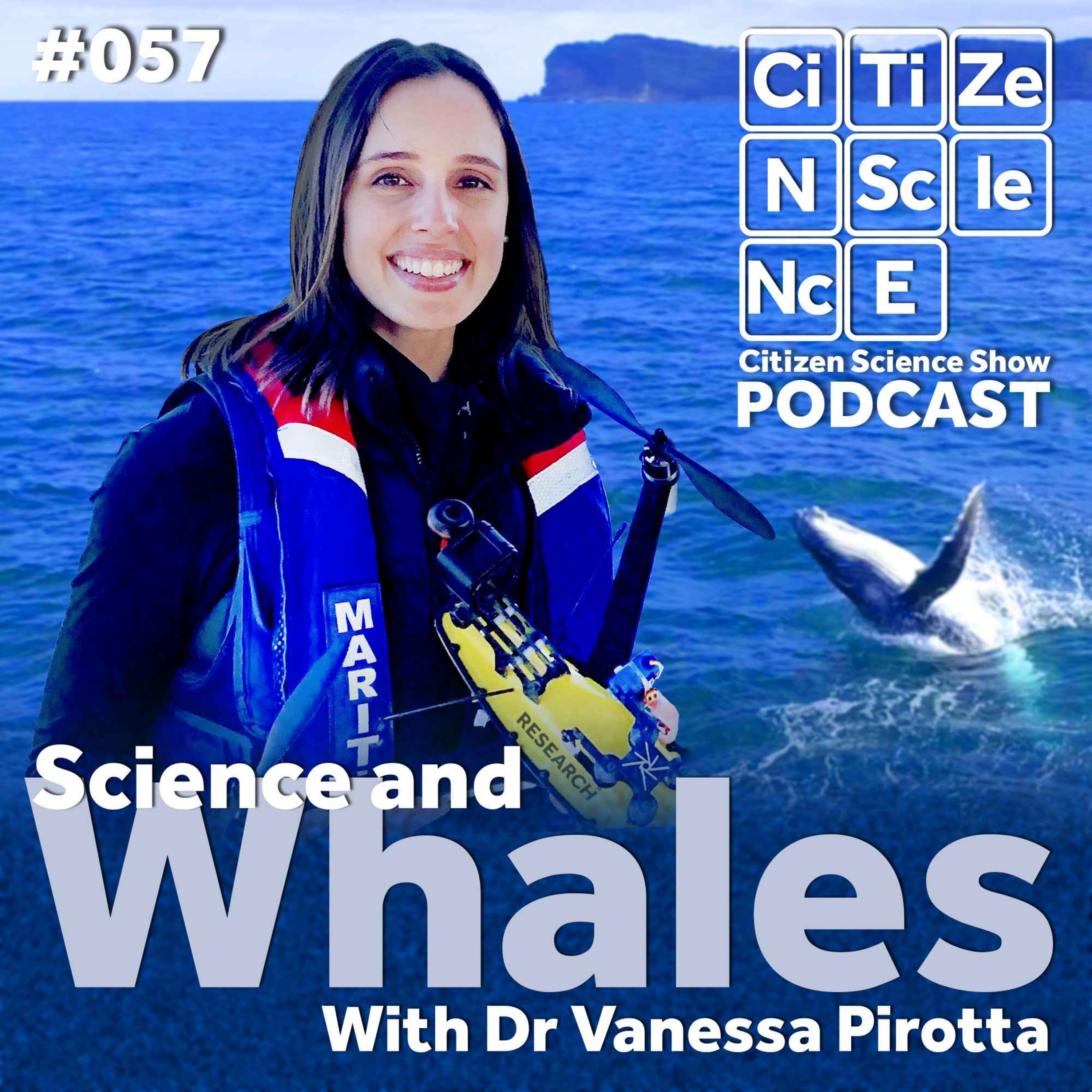 #057 Whales, Science, and Seeing the Bigger Picture with Vanessa Pirotta episode artwork