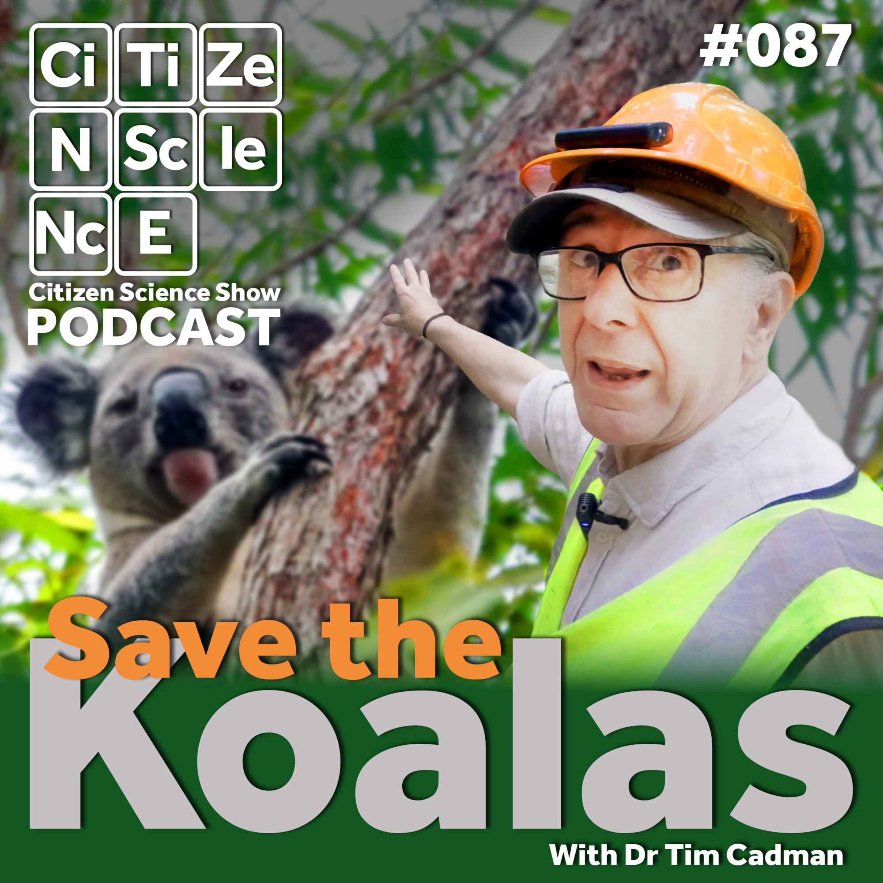 #087 Fighting for the Forests: The Relentless Mission to Save Koalas with Dr Tim Cadman episode artwork
