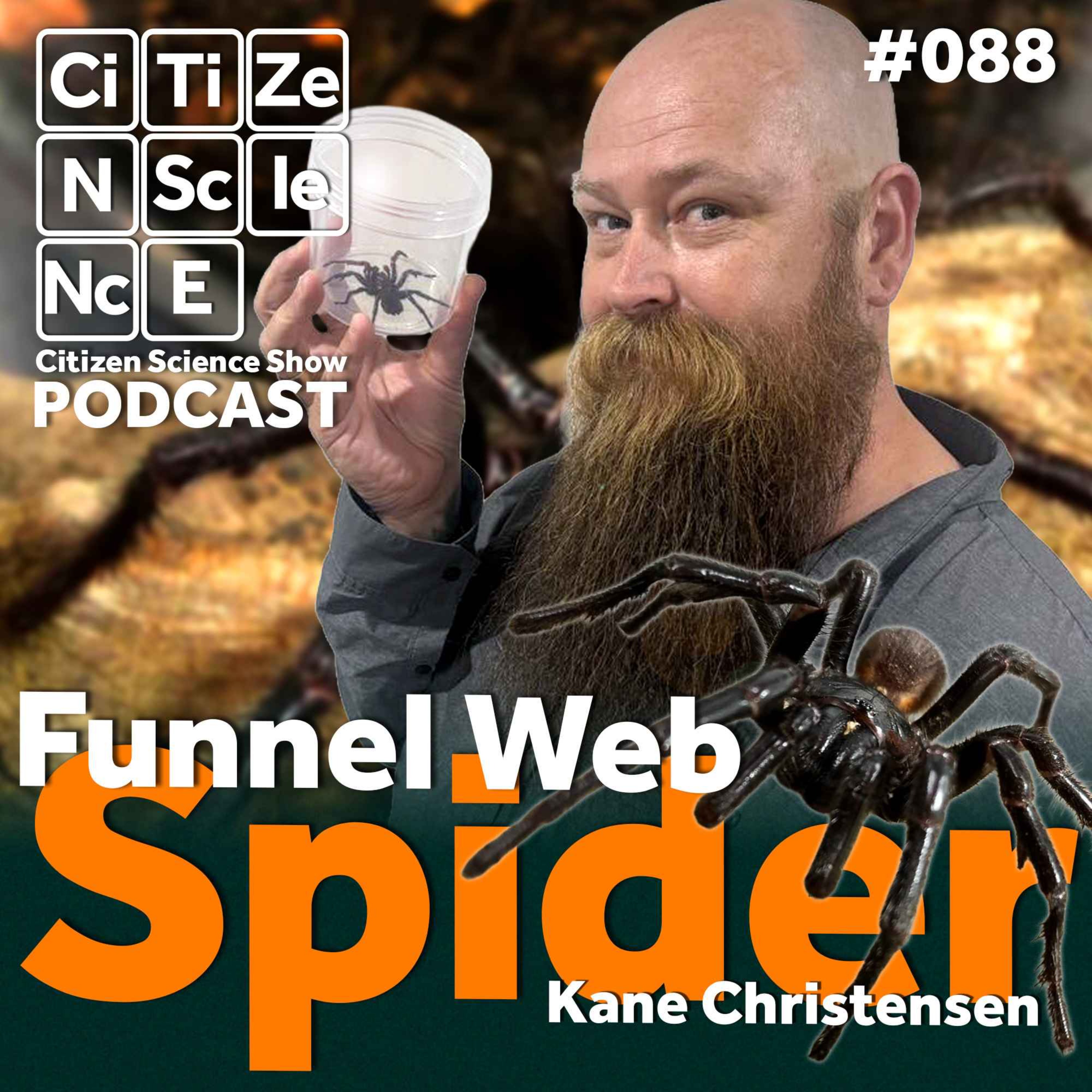 #088 The Man Who Found the Big Boy: How Kane Christensen Discovered Australia's Newest Funnel Web Spider episode artwork