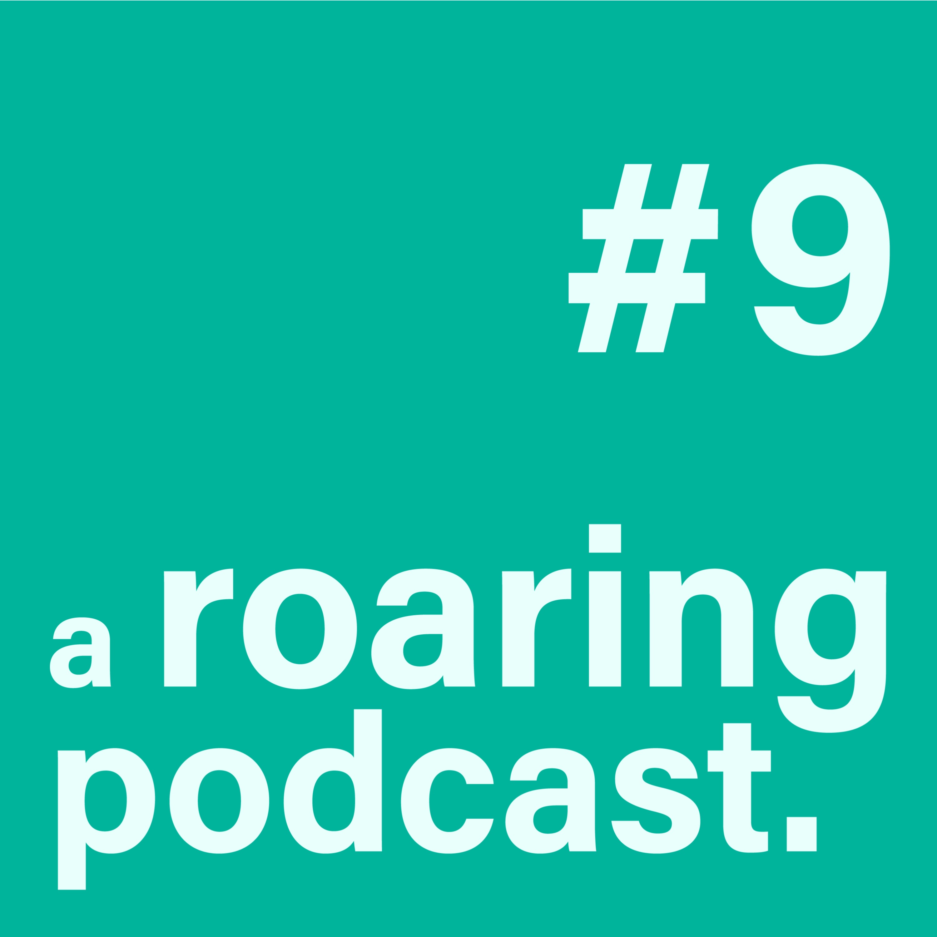 #9 - How customer insight fuels product development with Hicham Larhnimi, Vembla
