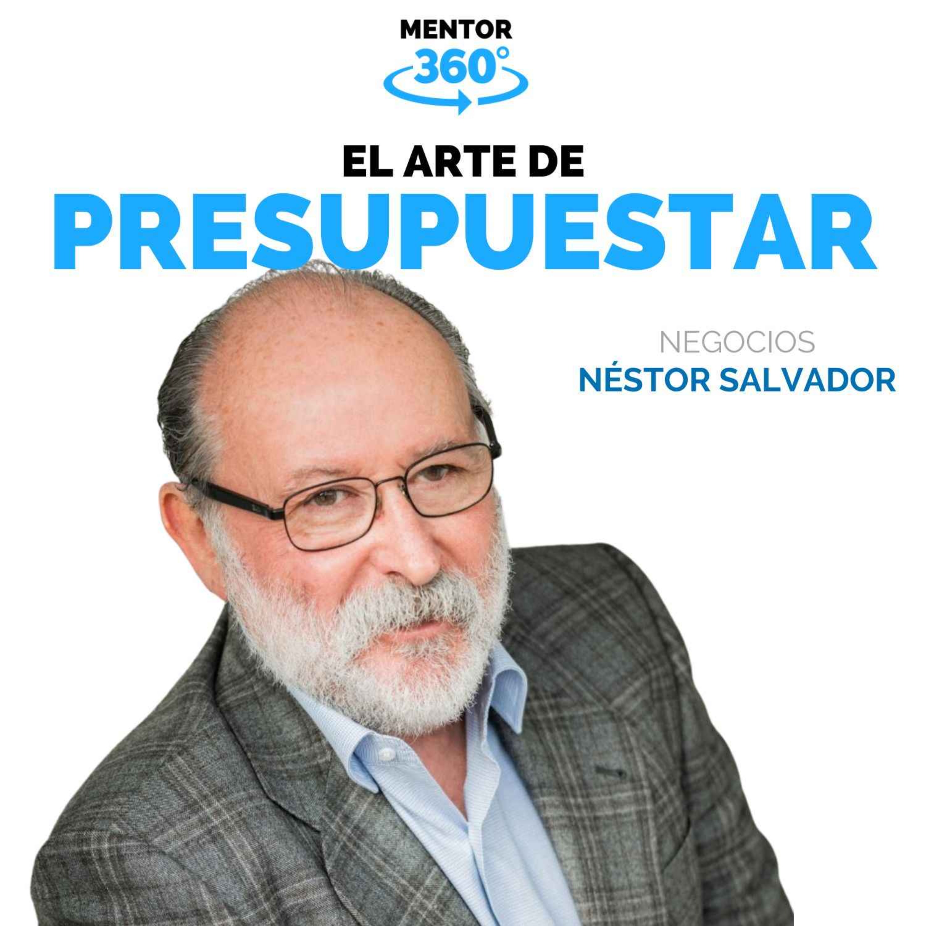 El Arte de Presupuestar - Néstor Salvador - Negocios - MENTOR360