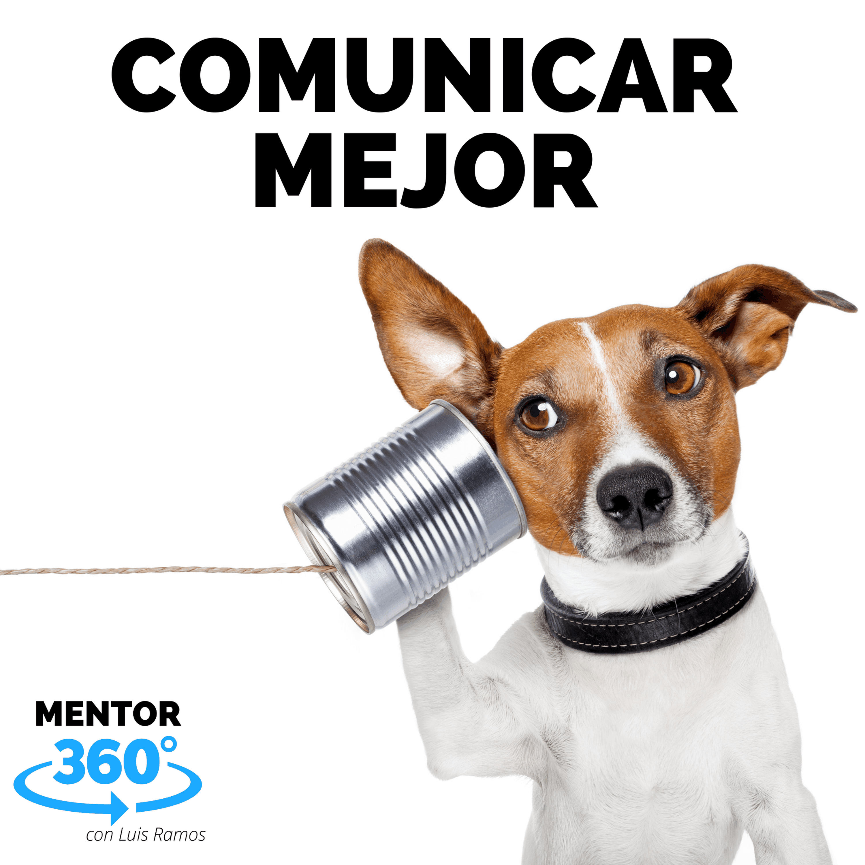 Cómo Comunicar Mejor - MENTOR360