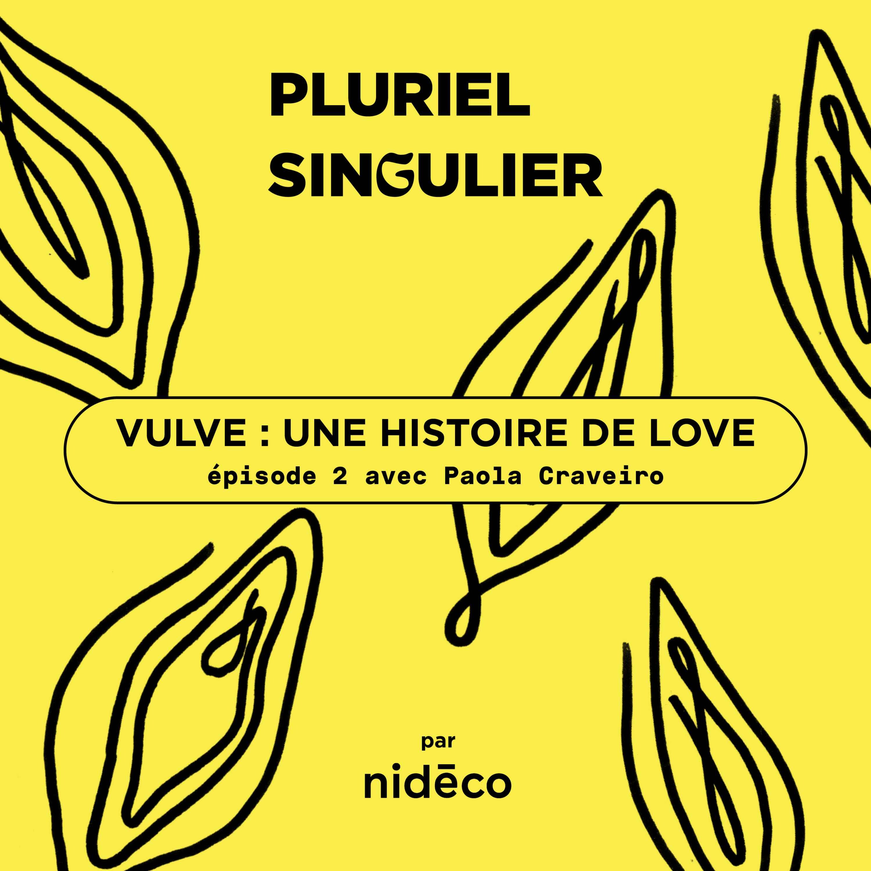 Pluriel Singulier