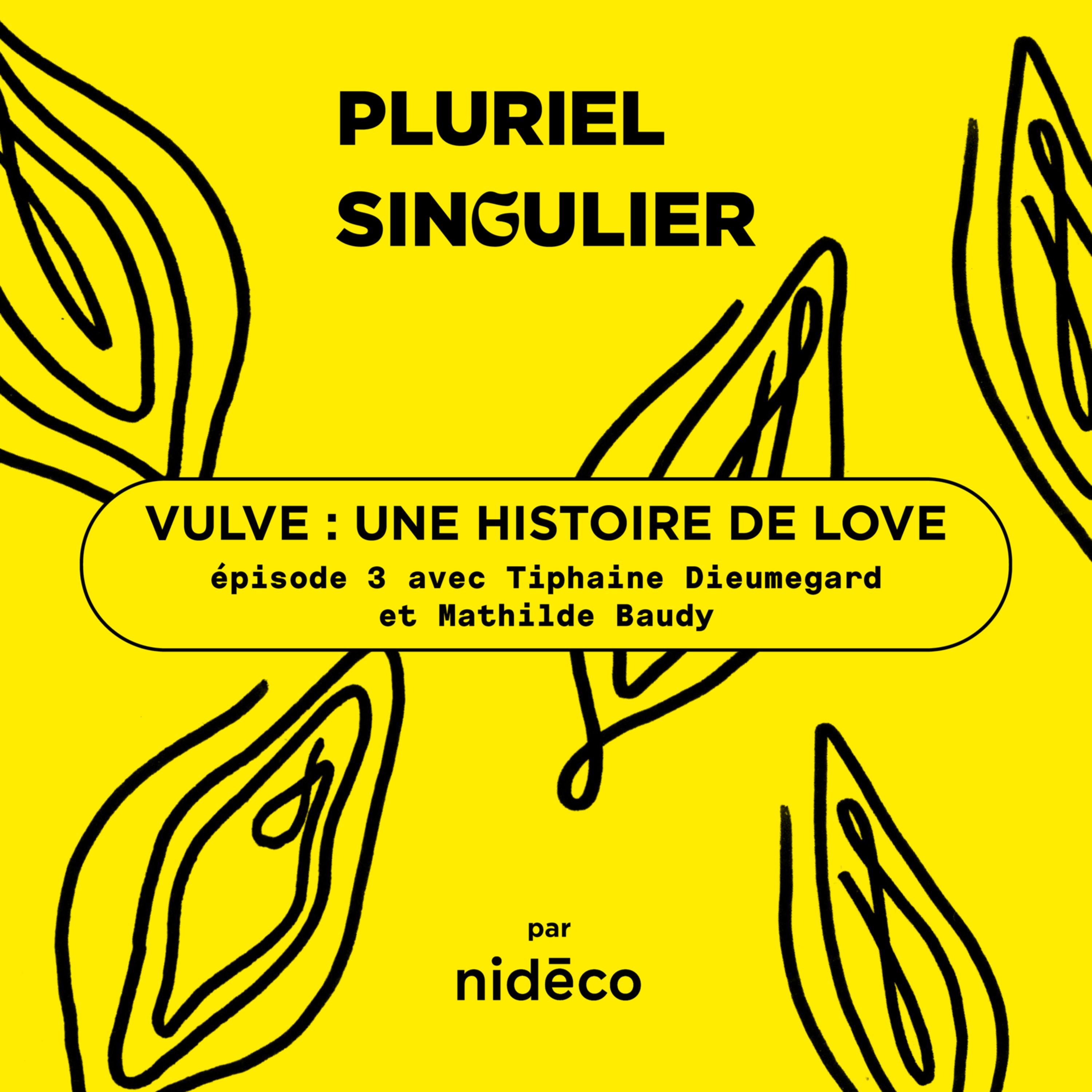 Pluriel Singulier
