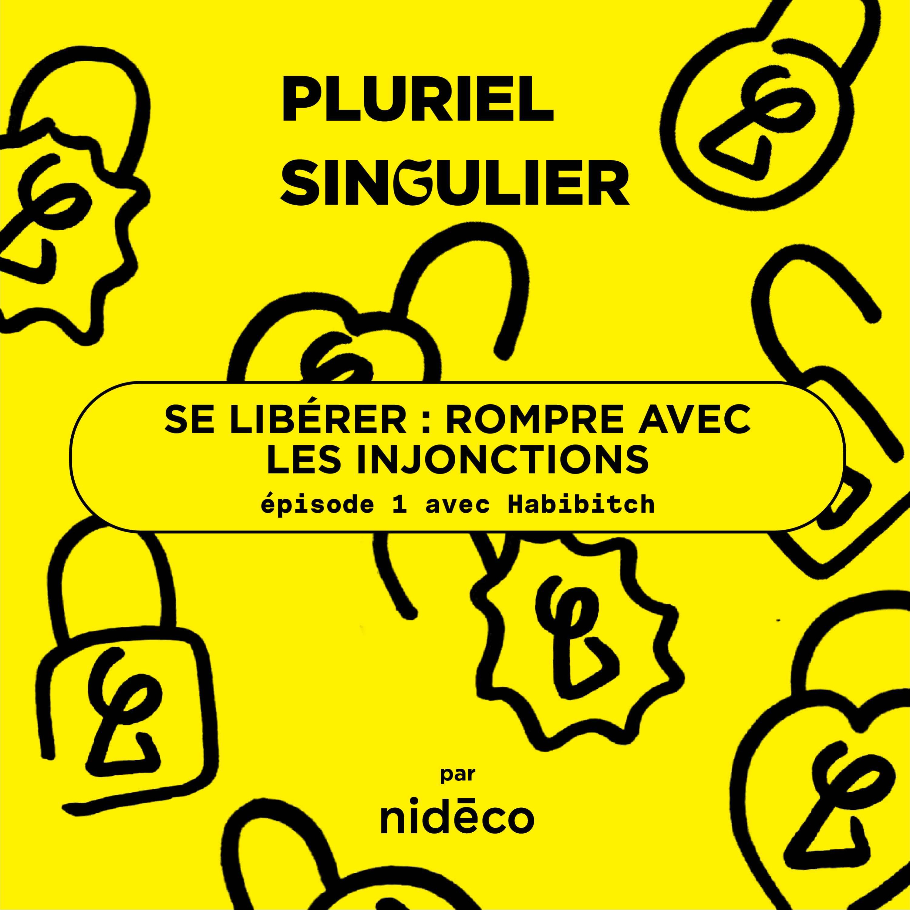 Pluriel Singulier
