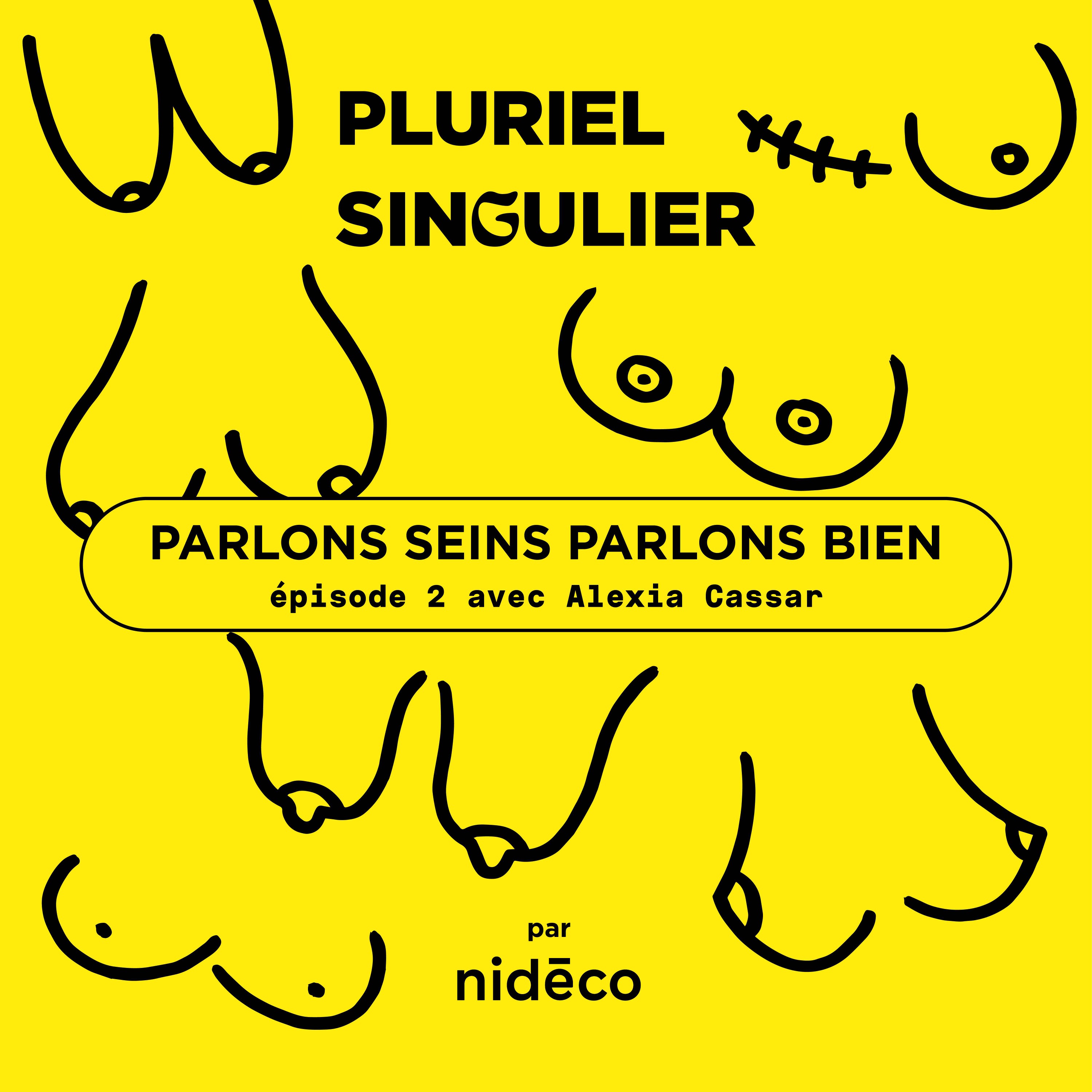 Pluriel Singulier