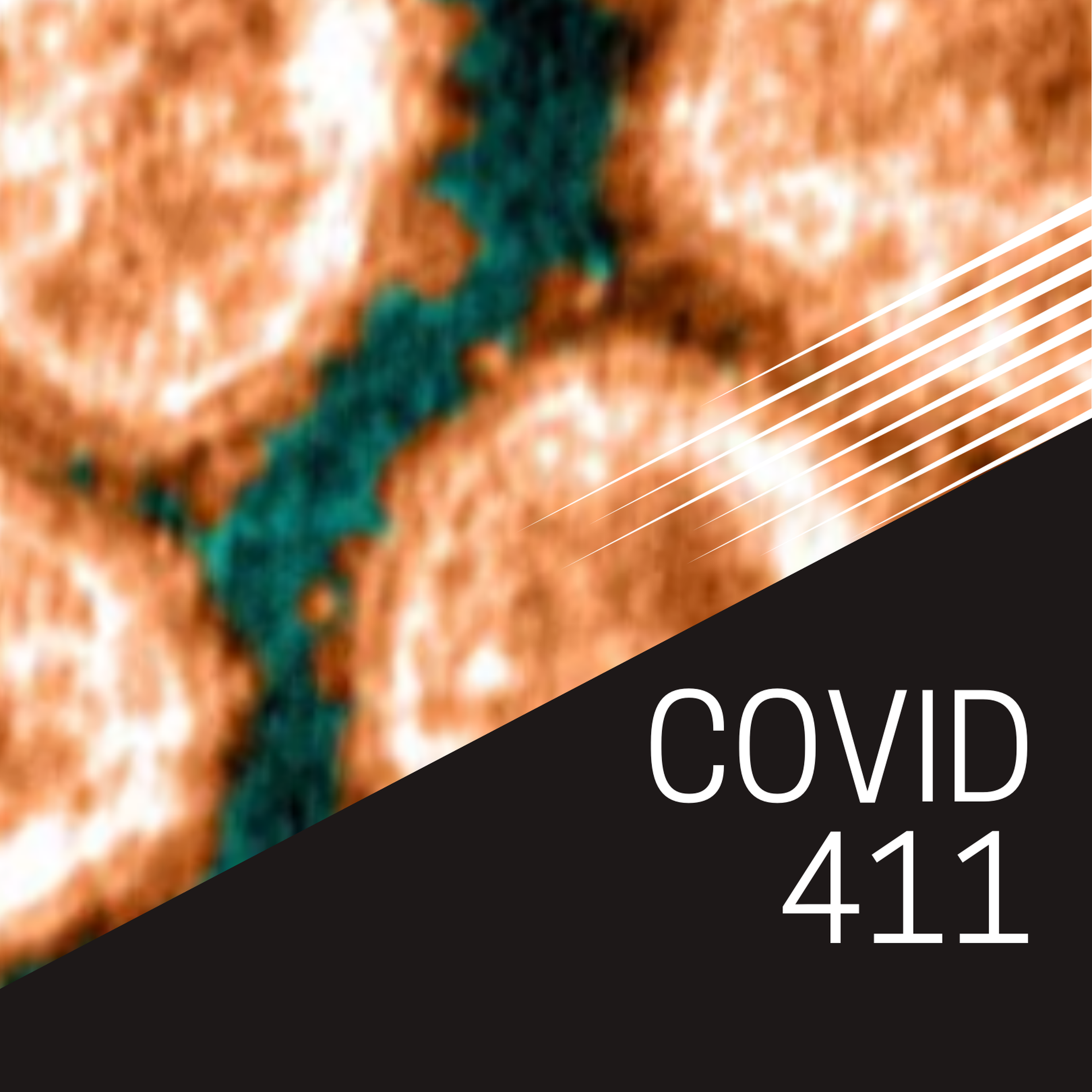 cover of episode COVID, Coronavirus, Omicron and Delta variants, and vaccine updates for 02-07-2022