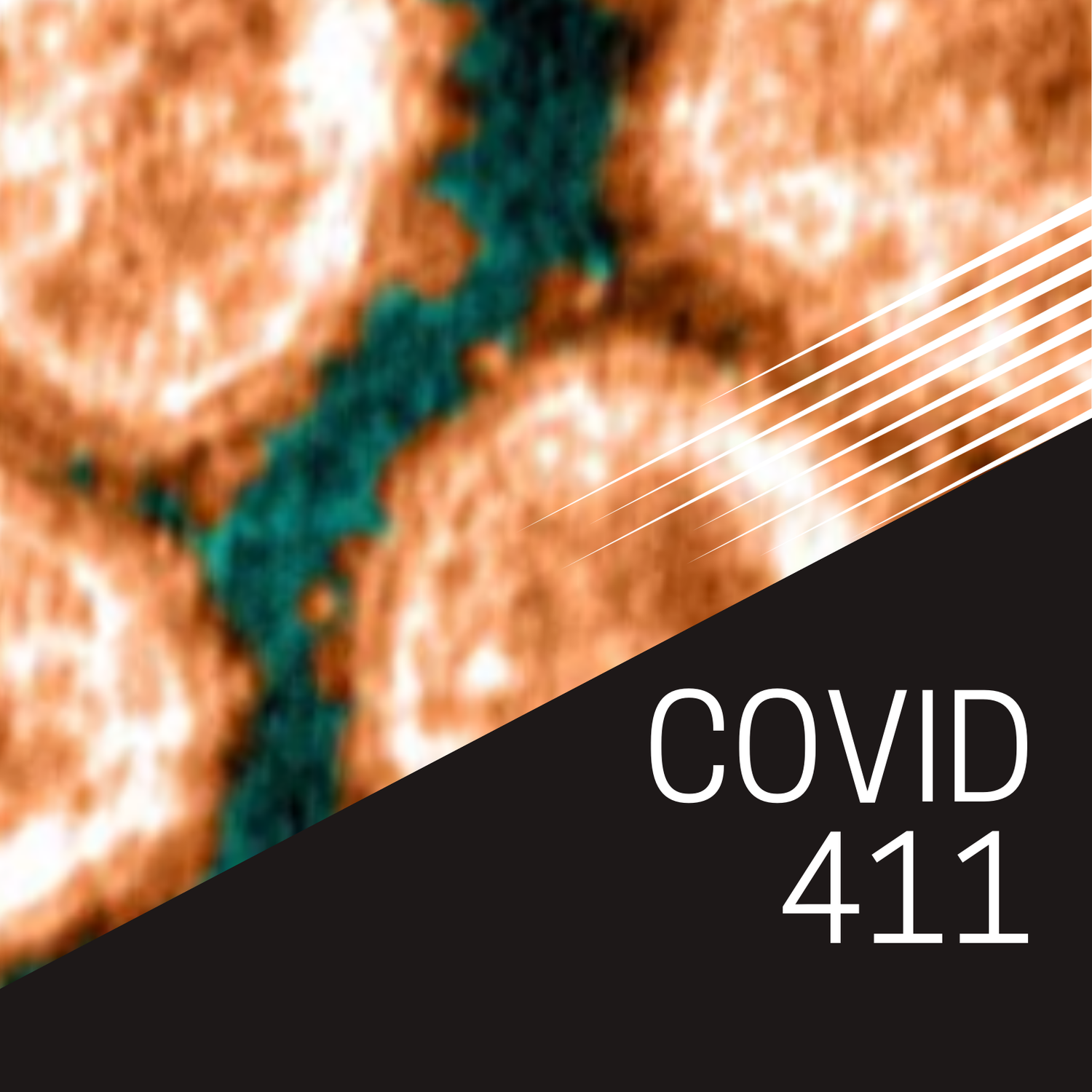 cover art for COVID, Coronavirus, Omicron, and vaccine updates for 02-25-2022 