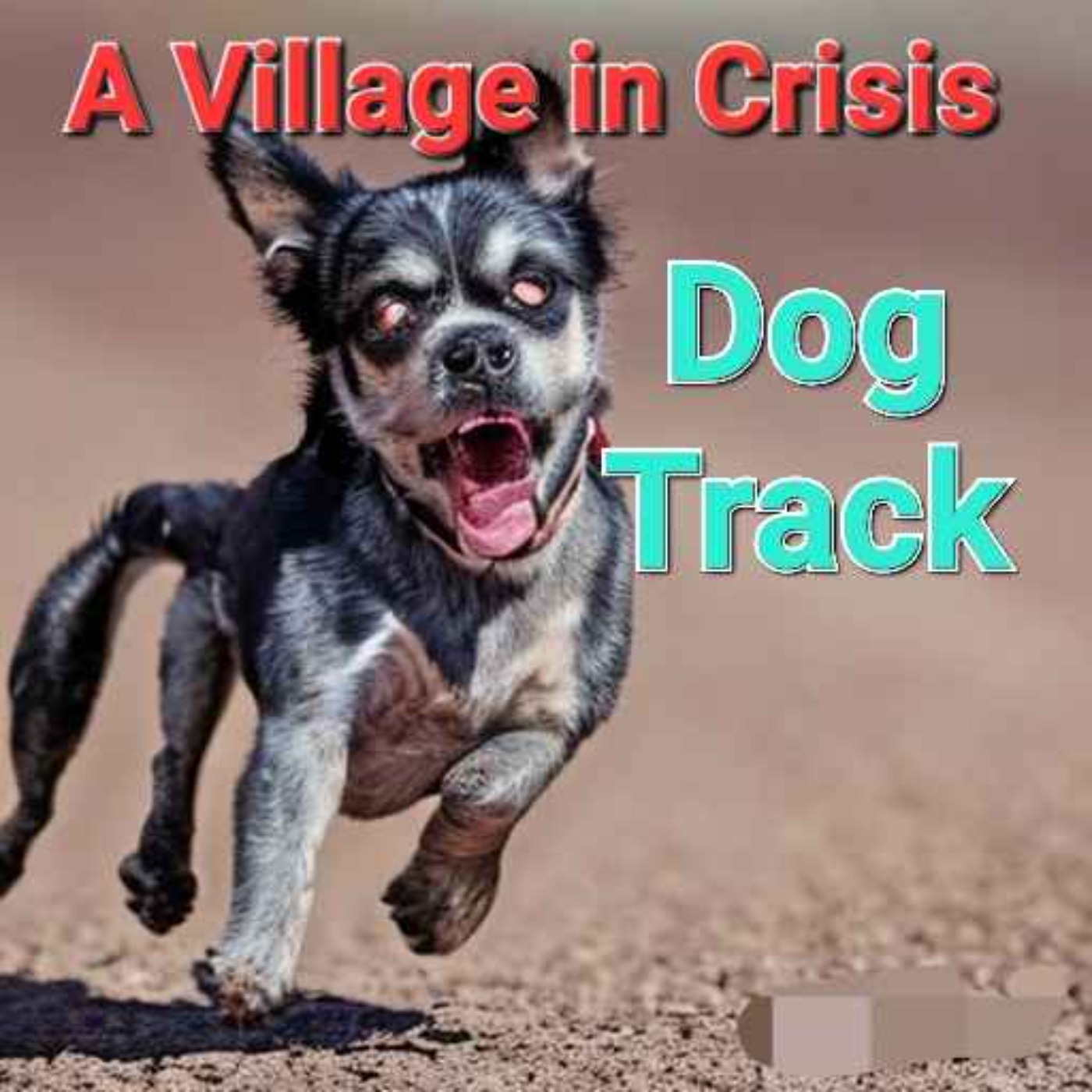 A Village in Crisis