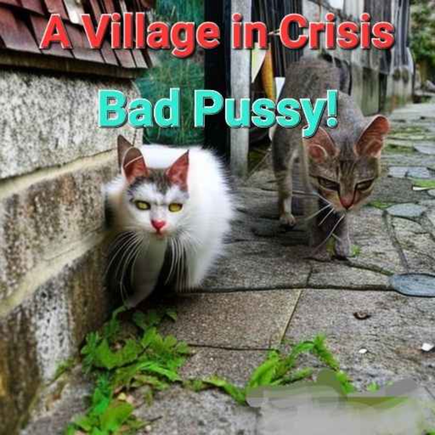 Bad Pussy! - A Village in Crisis | Acast