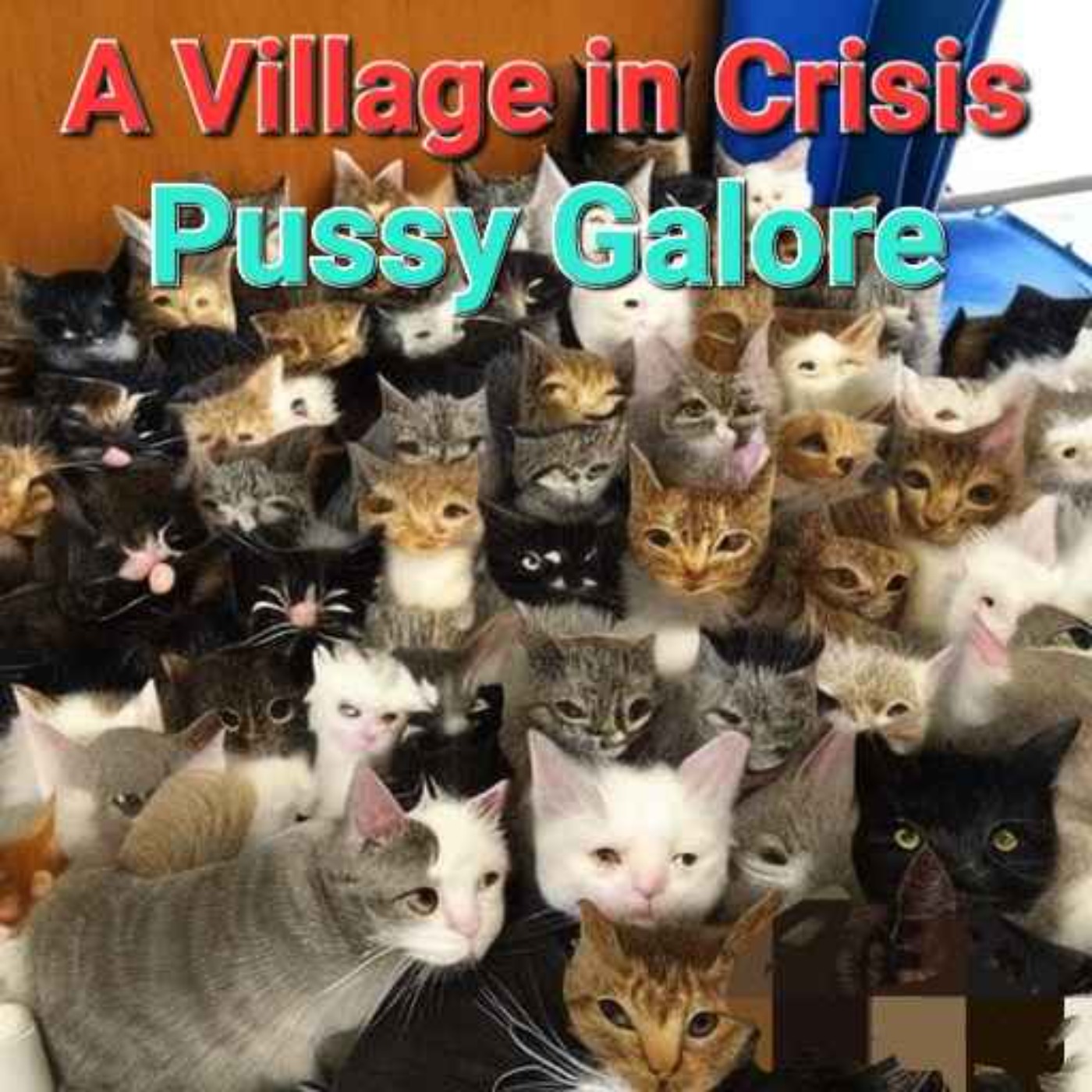 A Village in Crisis