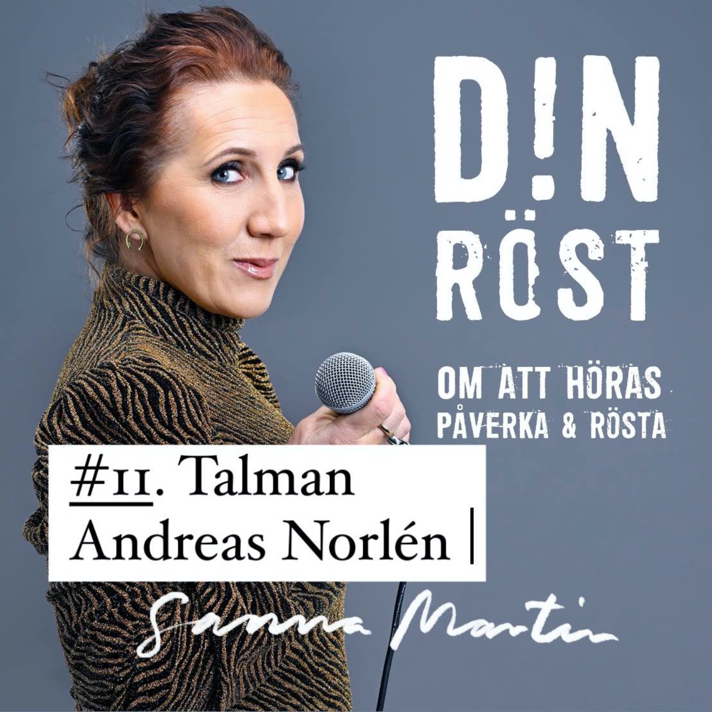 #11. Din Röst - Talman Andreas Norlén episode artwork