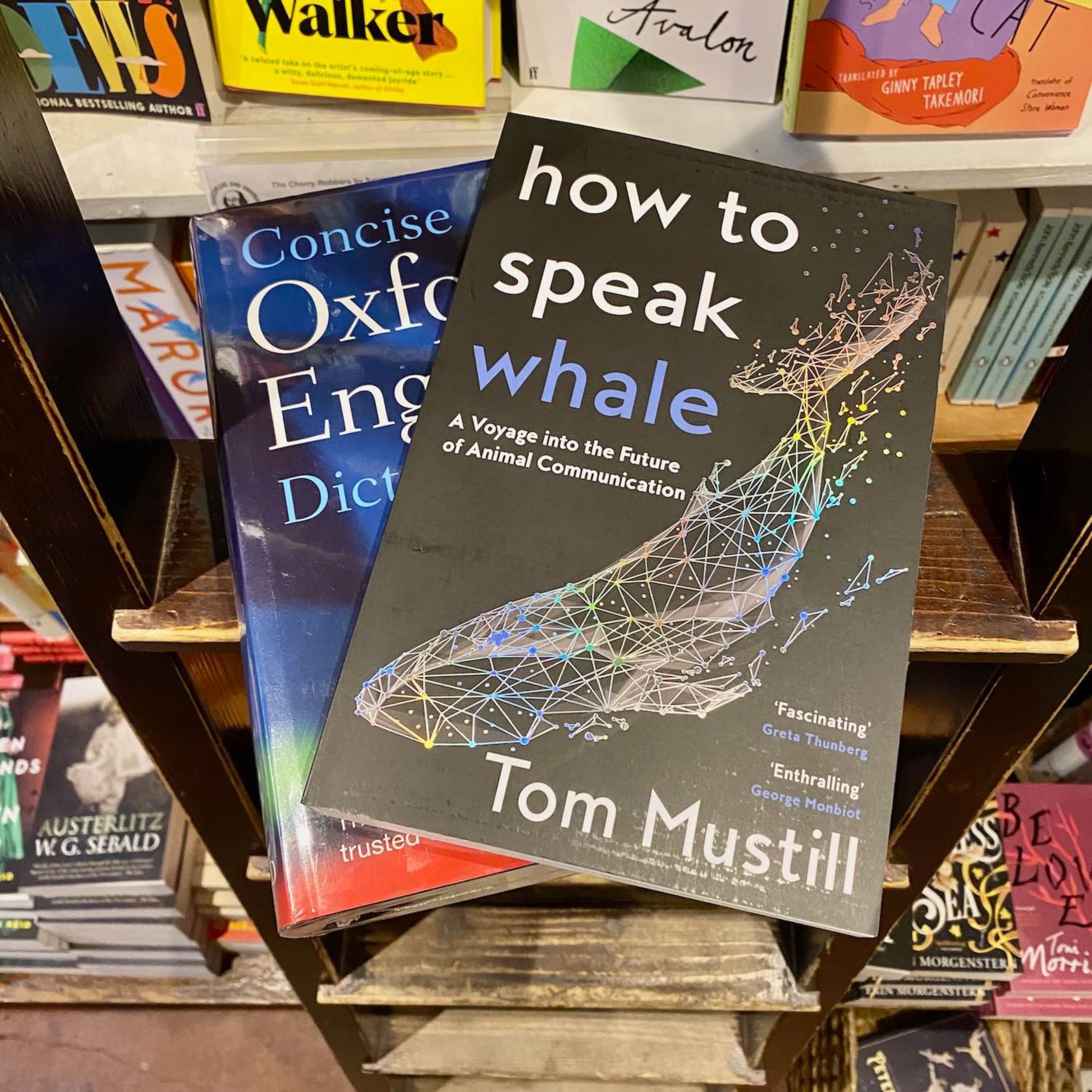 cover art for 🐋How to Speak to Whales (and other animals…) with Tom Mustill🐋