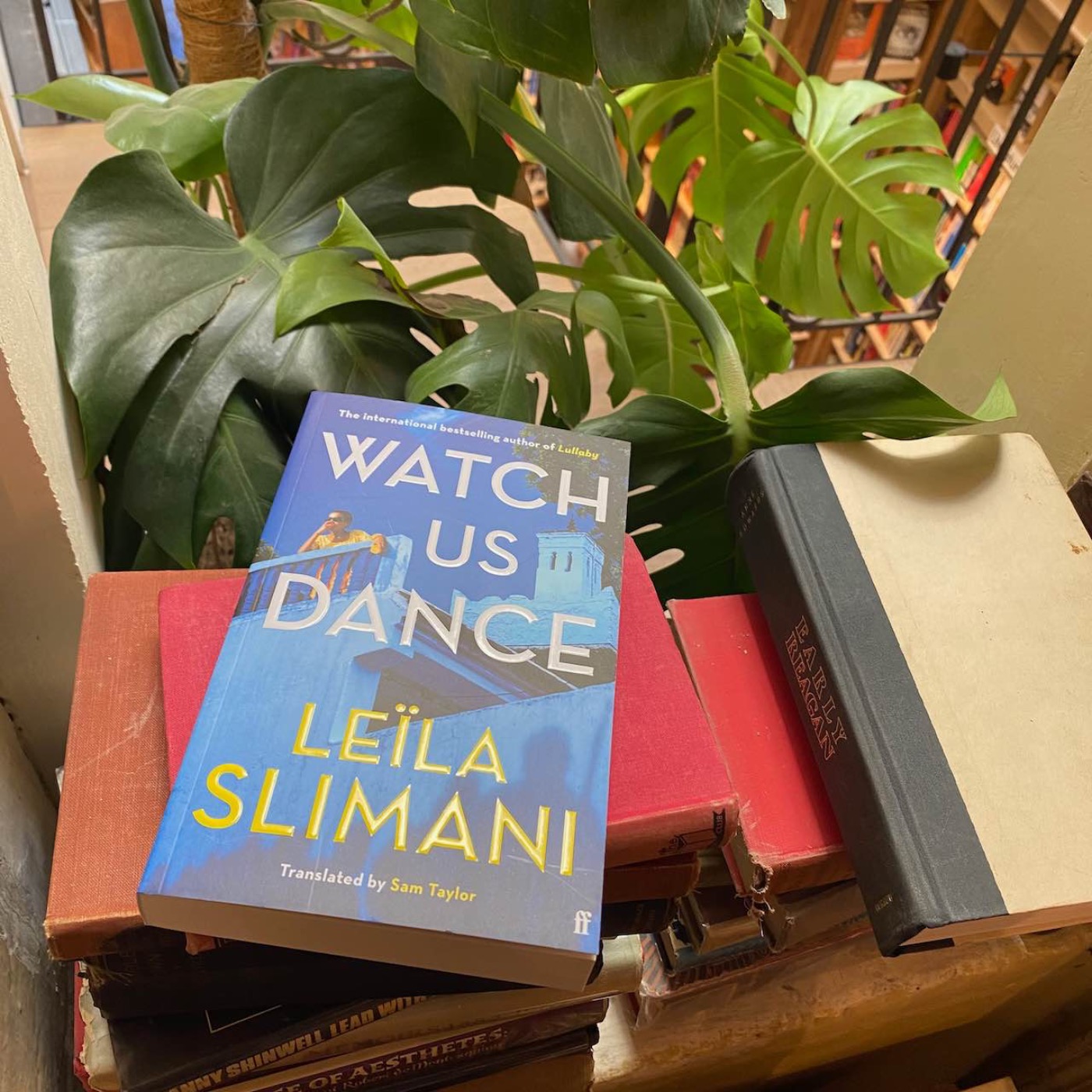 Leïla Slimani on Inheritance, Hippies and the Literature of Disappointment