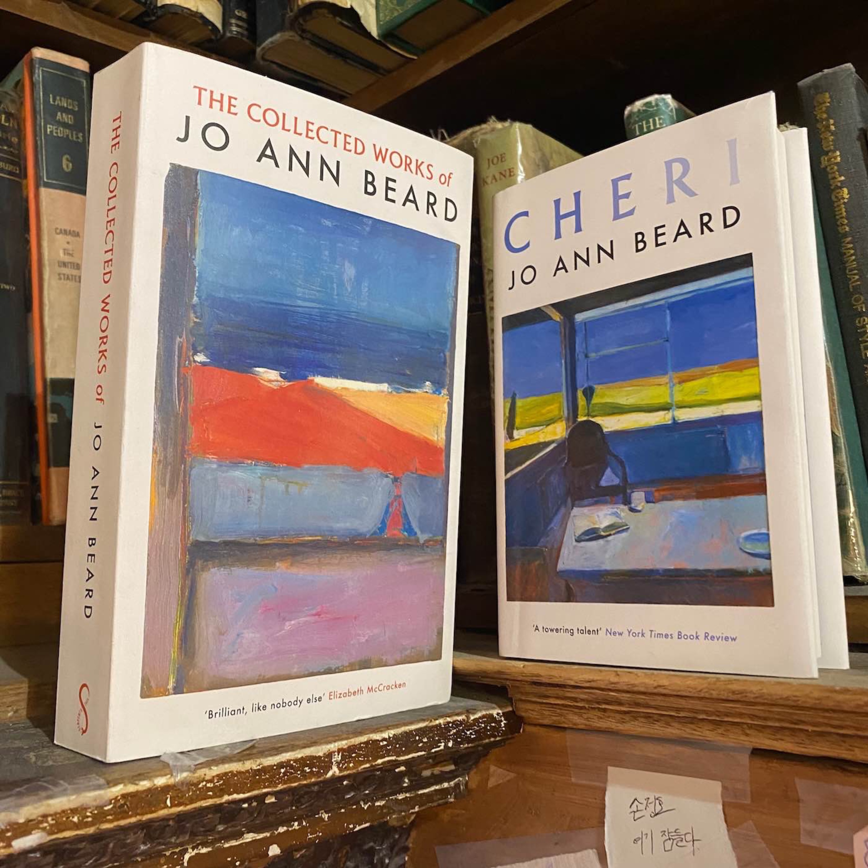 🐕On Life, Art and the Line Between the Two, with Jo Ann Beard🐕
