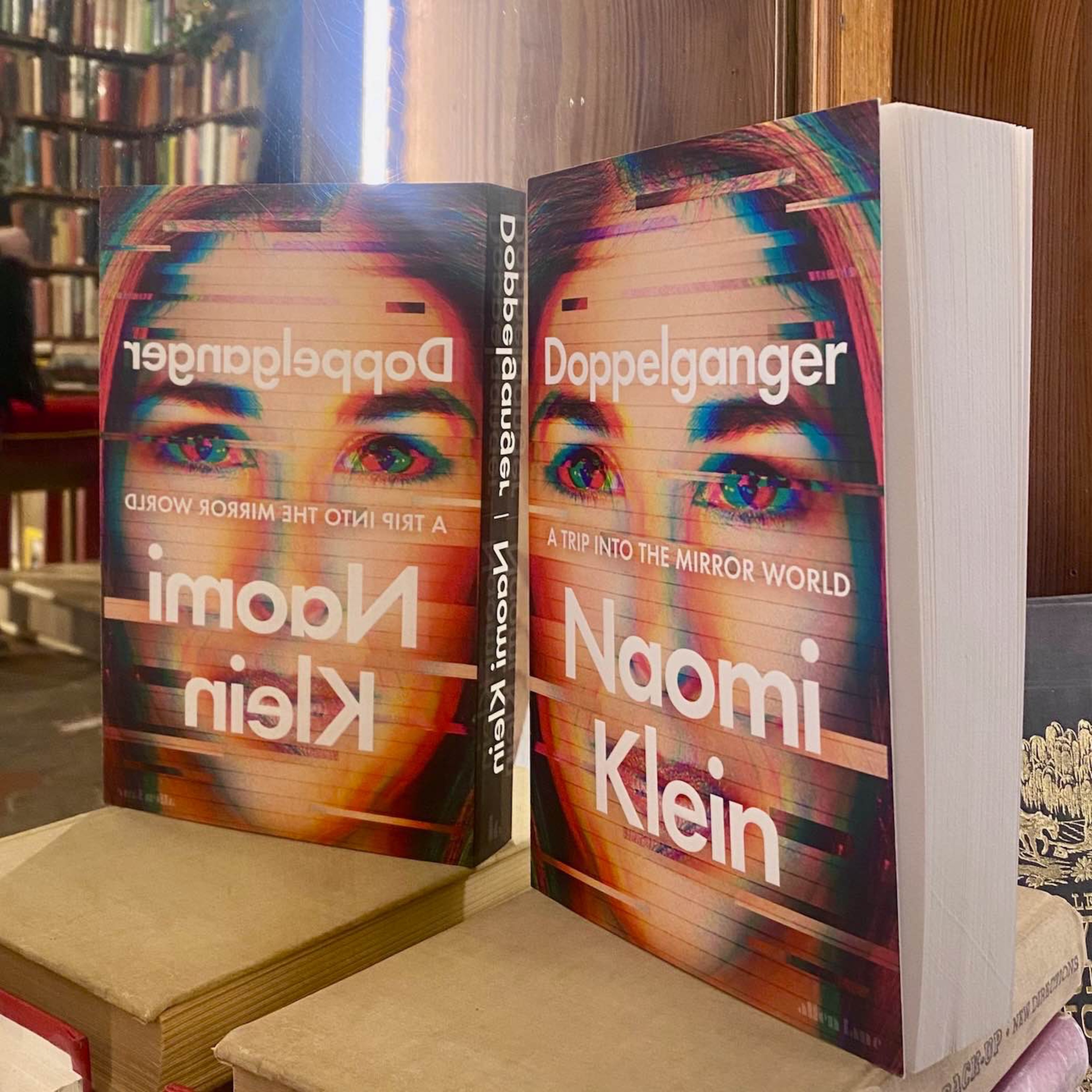 cover art for 👭🏼Naomi Klein on Doppelgangers, Conspiracy Theories, and the Shadowlands we all inhabit…👭🏼
