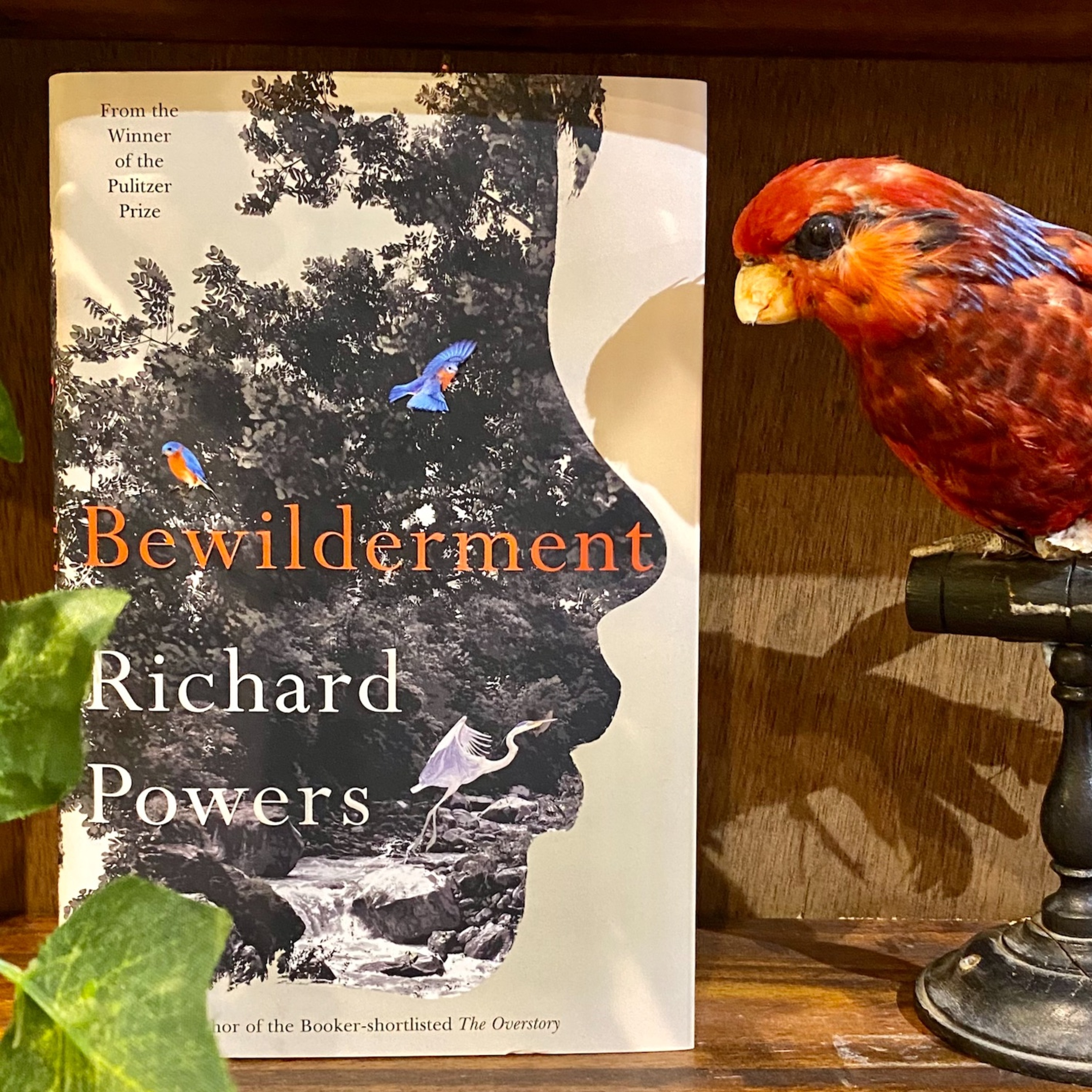 Richard Powers on Bewilderment