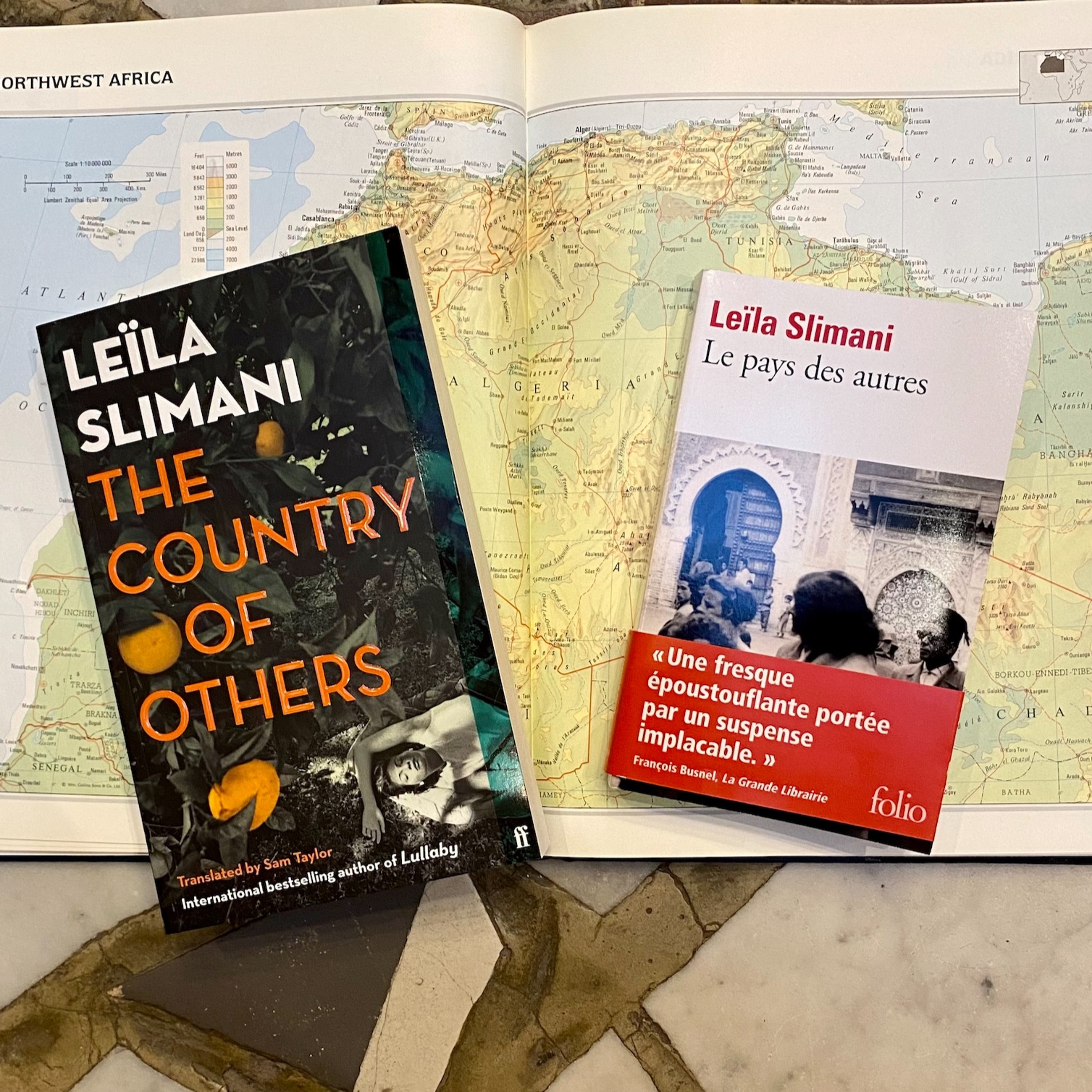 Leïla Slimani on The Country of Others