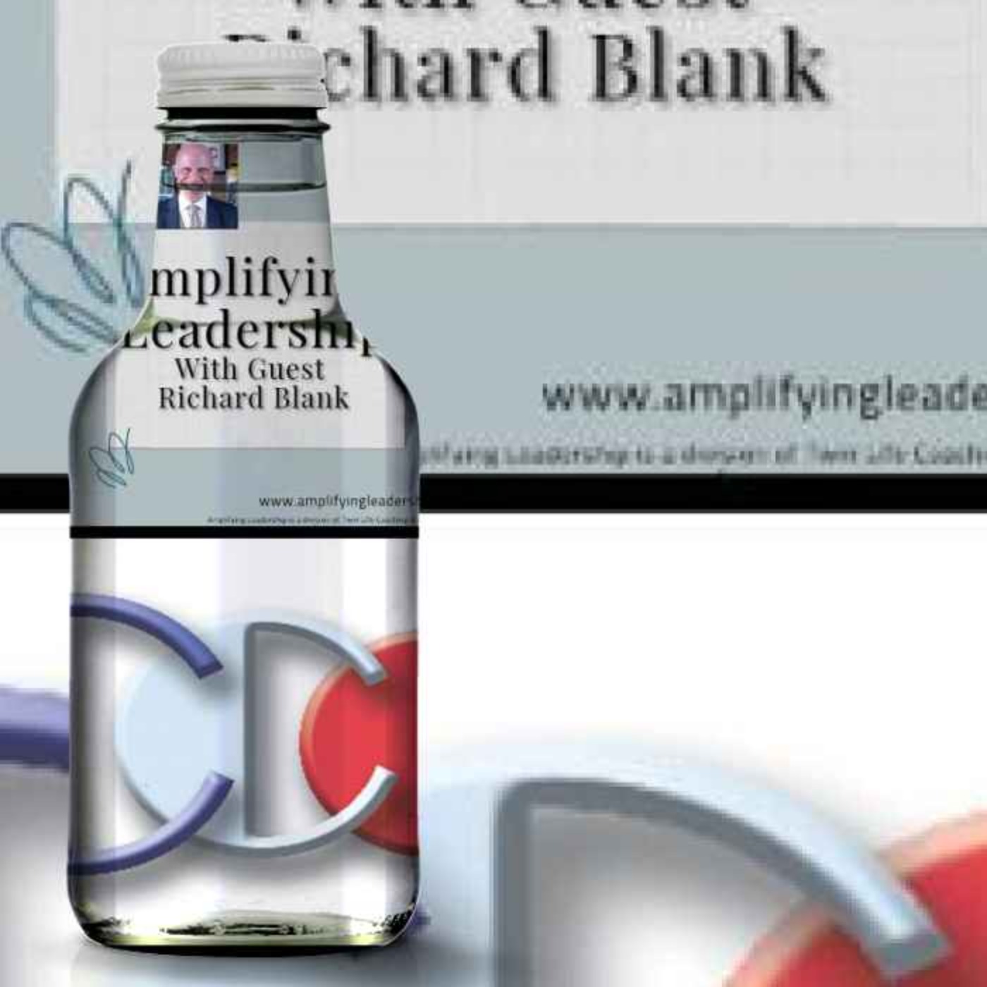 Twin Life Coaching & Business Services guest Richard Blank. Amplifying Leadership Podcast by Tara Lehman.  episode artwork