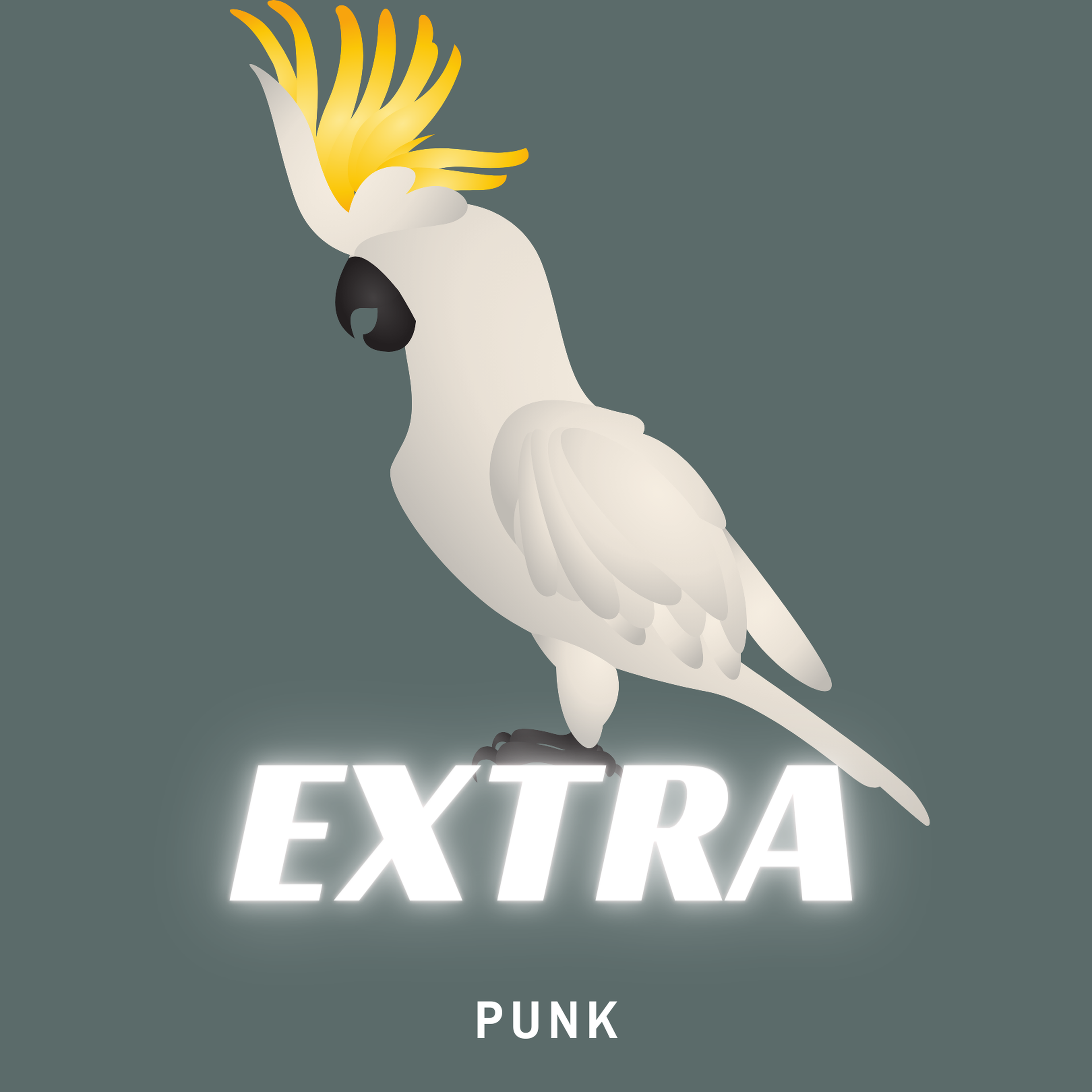 EXTRA
