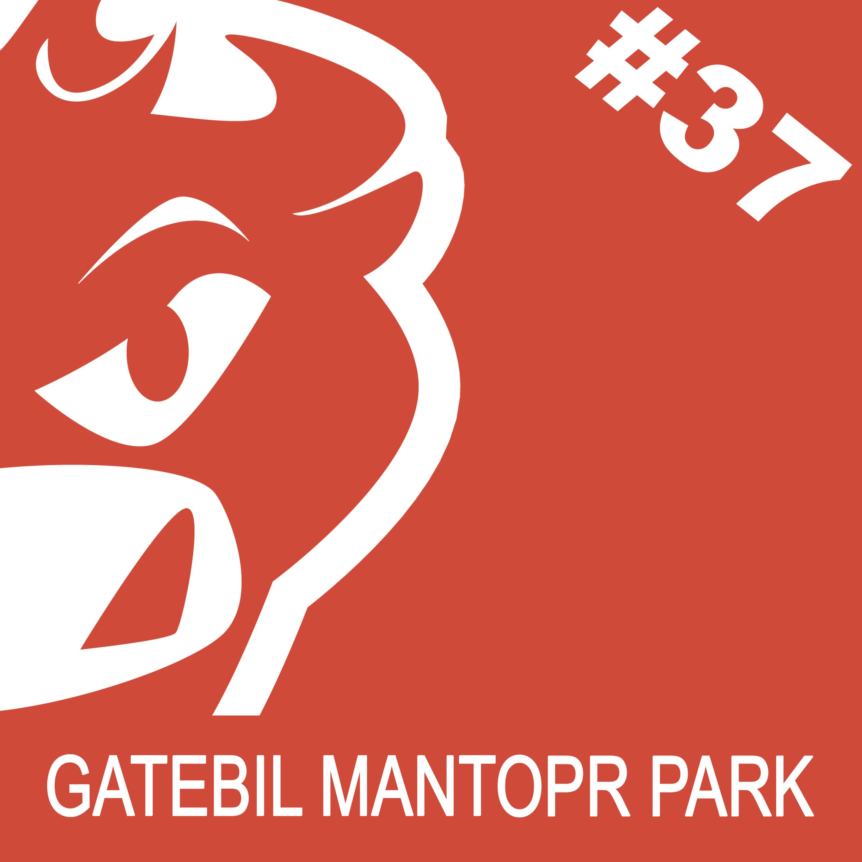 #37 - Veckopod - Gatebil mantorp episode artwork