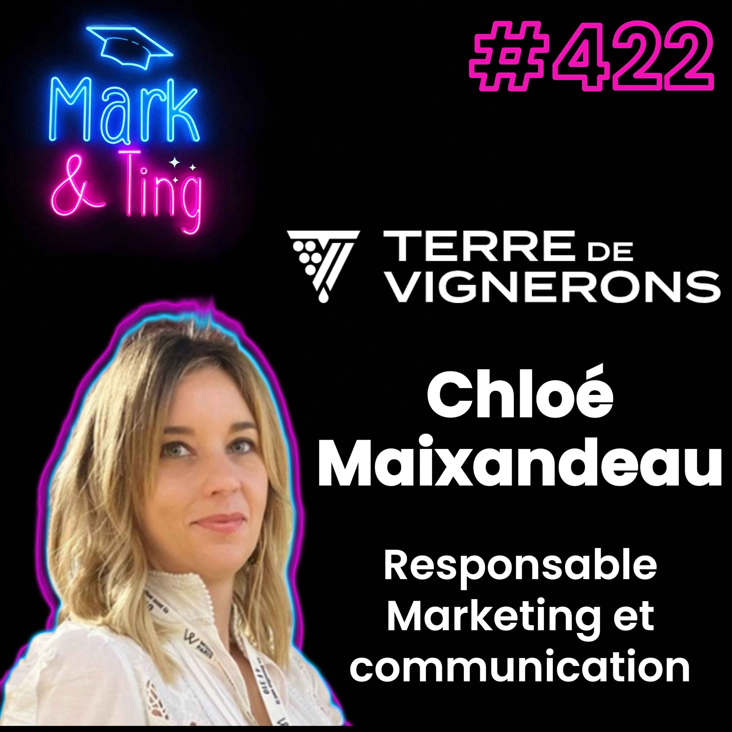 #422 - [INTERVIEW] - Dépoussiérer le monde du vin : innovation et marketing (avec Chloé Maixandeau, responsable Marketing et communication chez Terre de Vignerons)