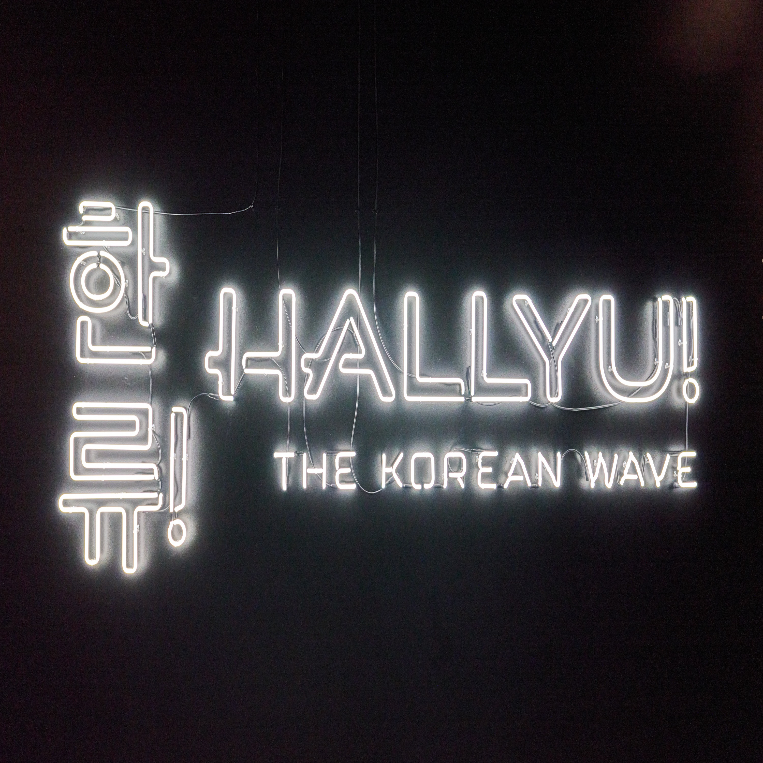 HALLYU! At The Asian Art Museum of San Francisco with Yoon-Jee Choi