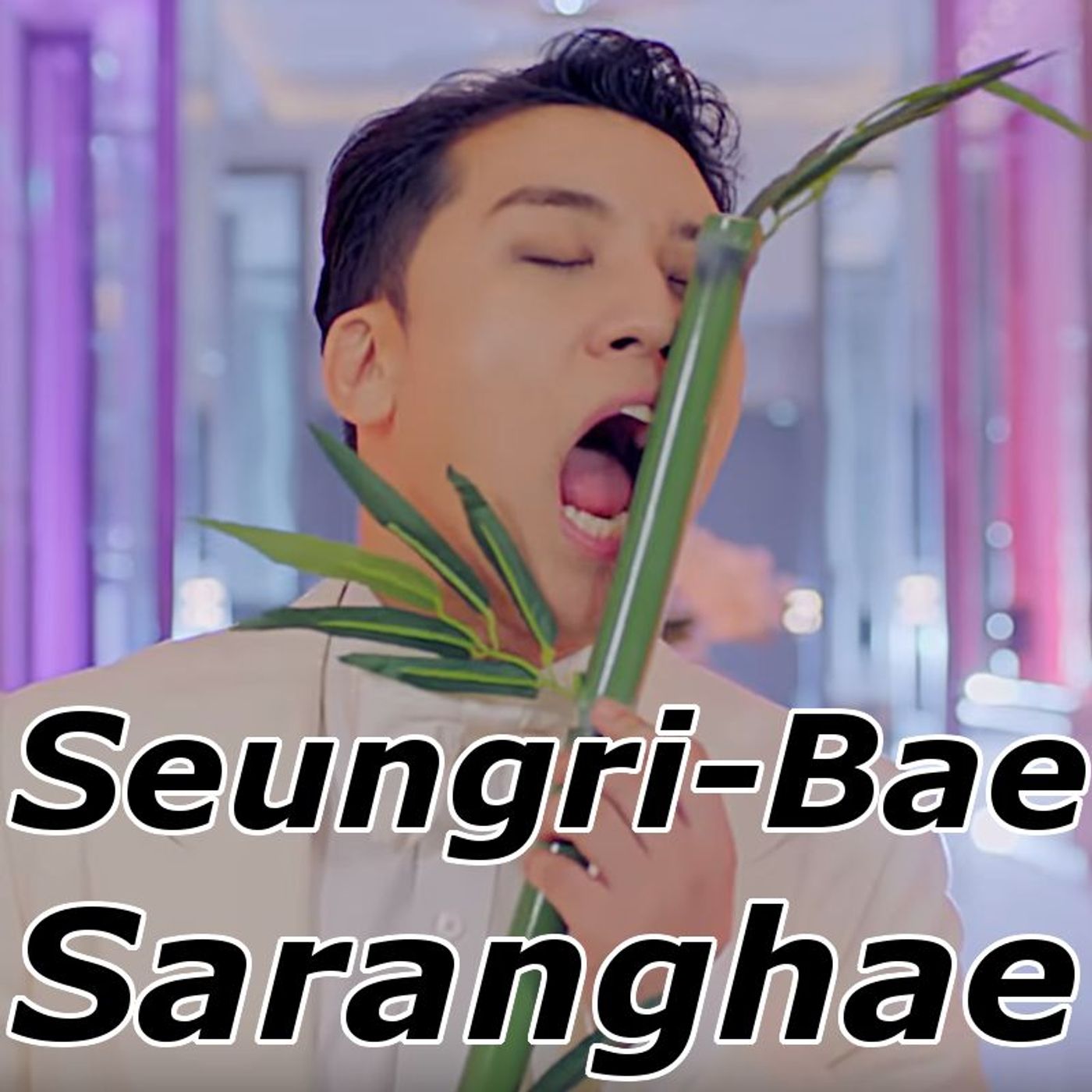 Seungri-Bae, Saranghae