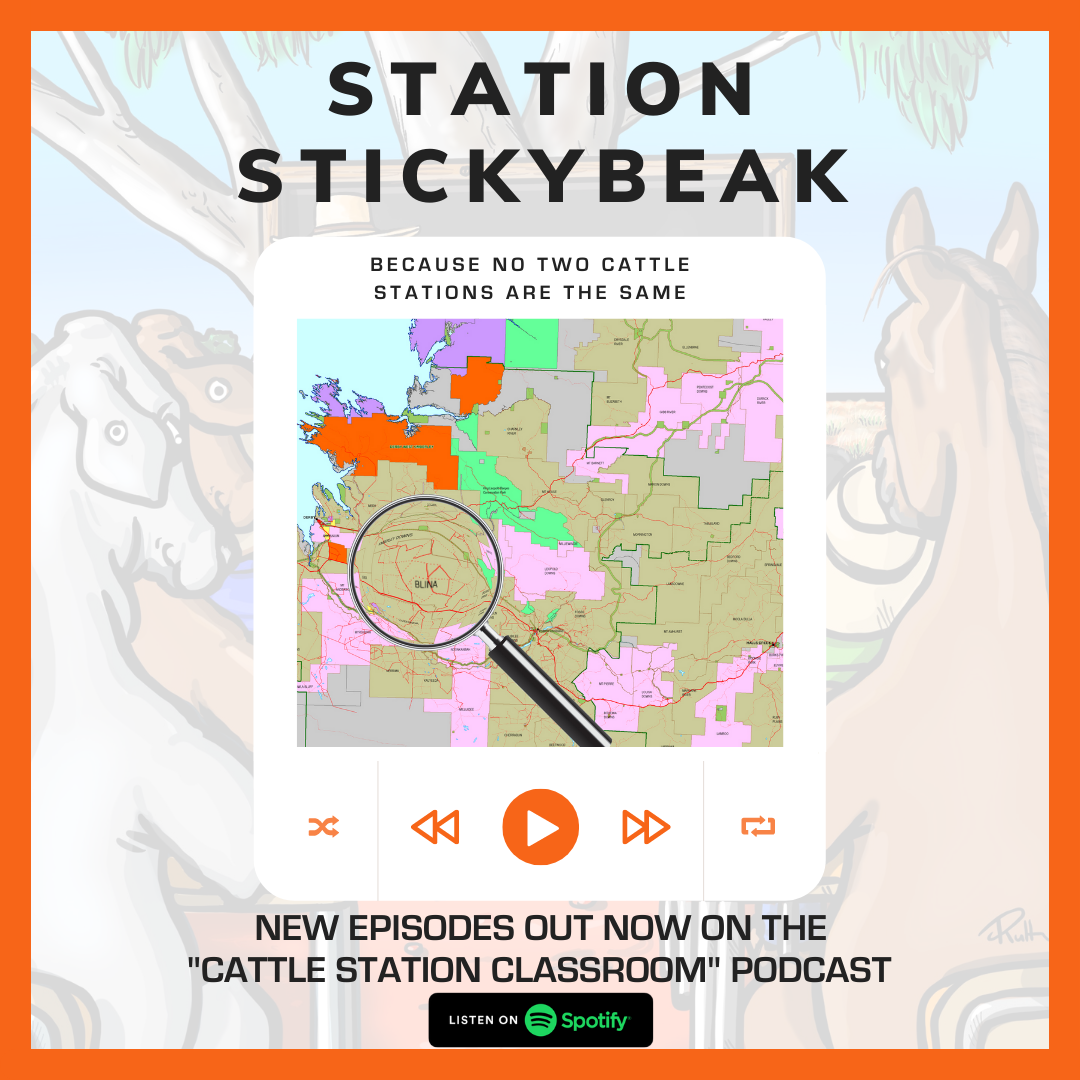 A [Stickybeak] into Billa Kalina Station
