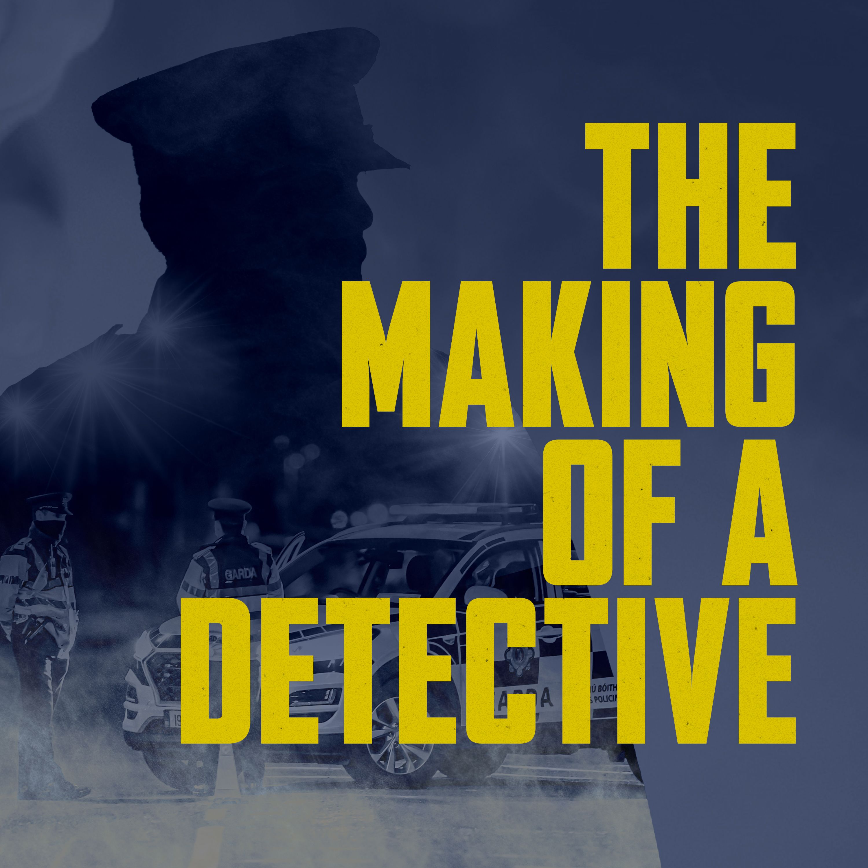 Presenting - The Making Of A Detective: Murder In The Naul |1 episode artwork