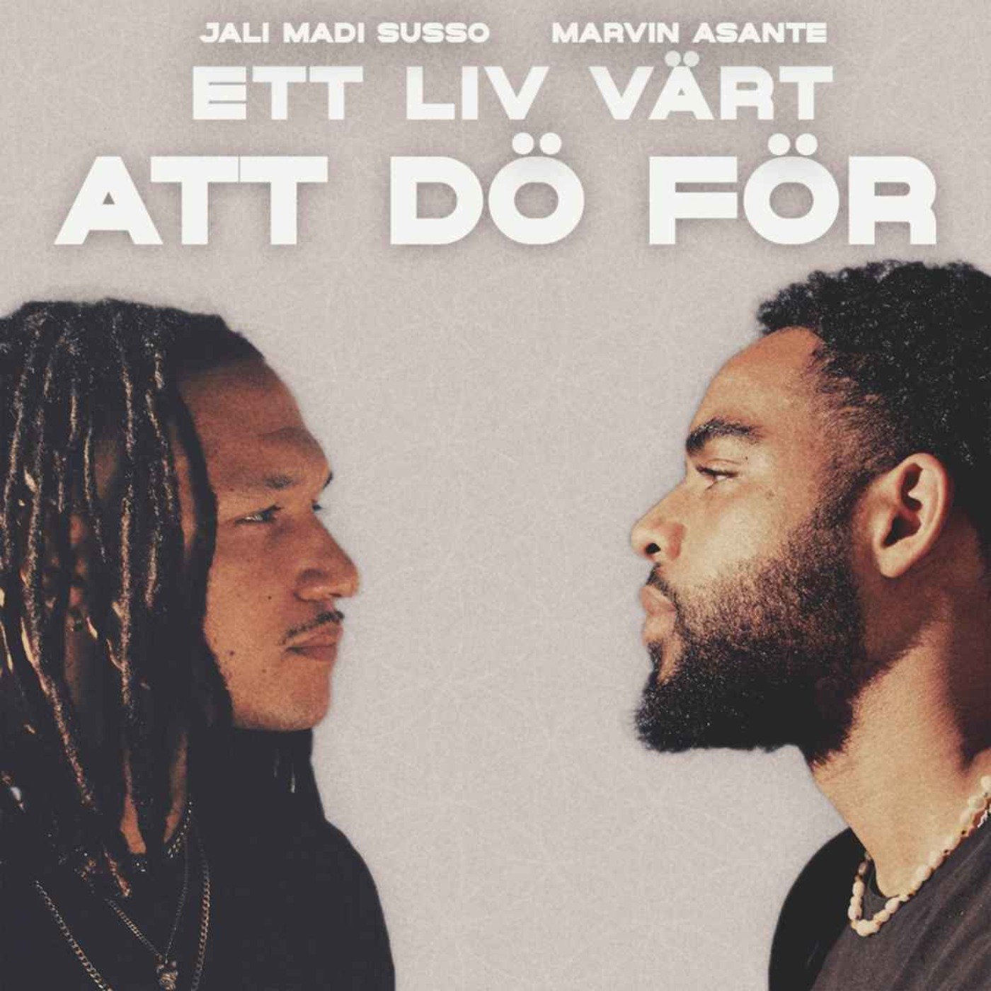 ETT LIV VÄRT ATT DÖ FÖR