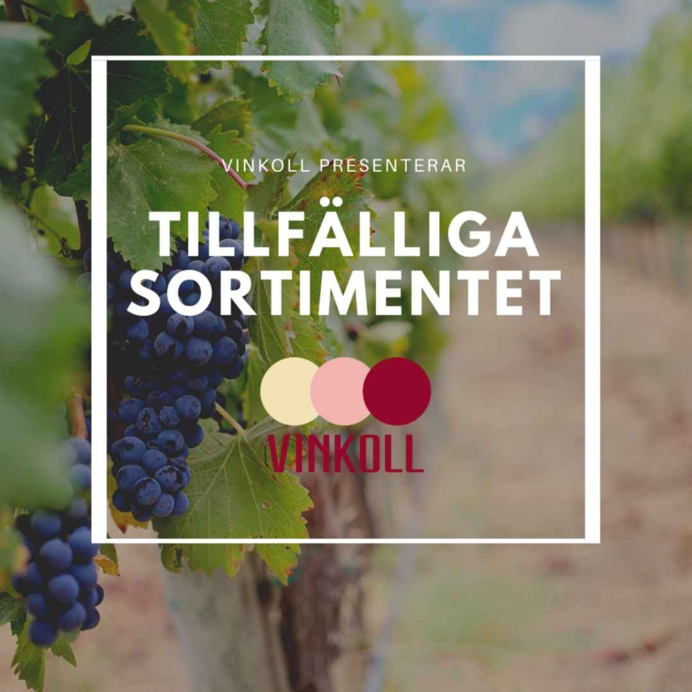 Vinkoll