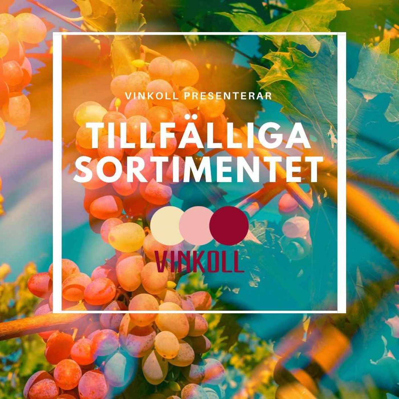 Vinkoll
