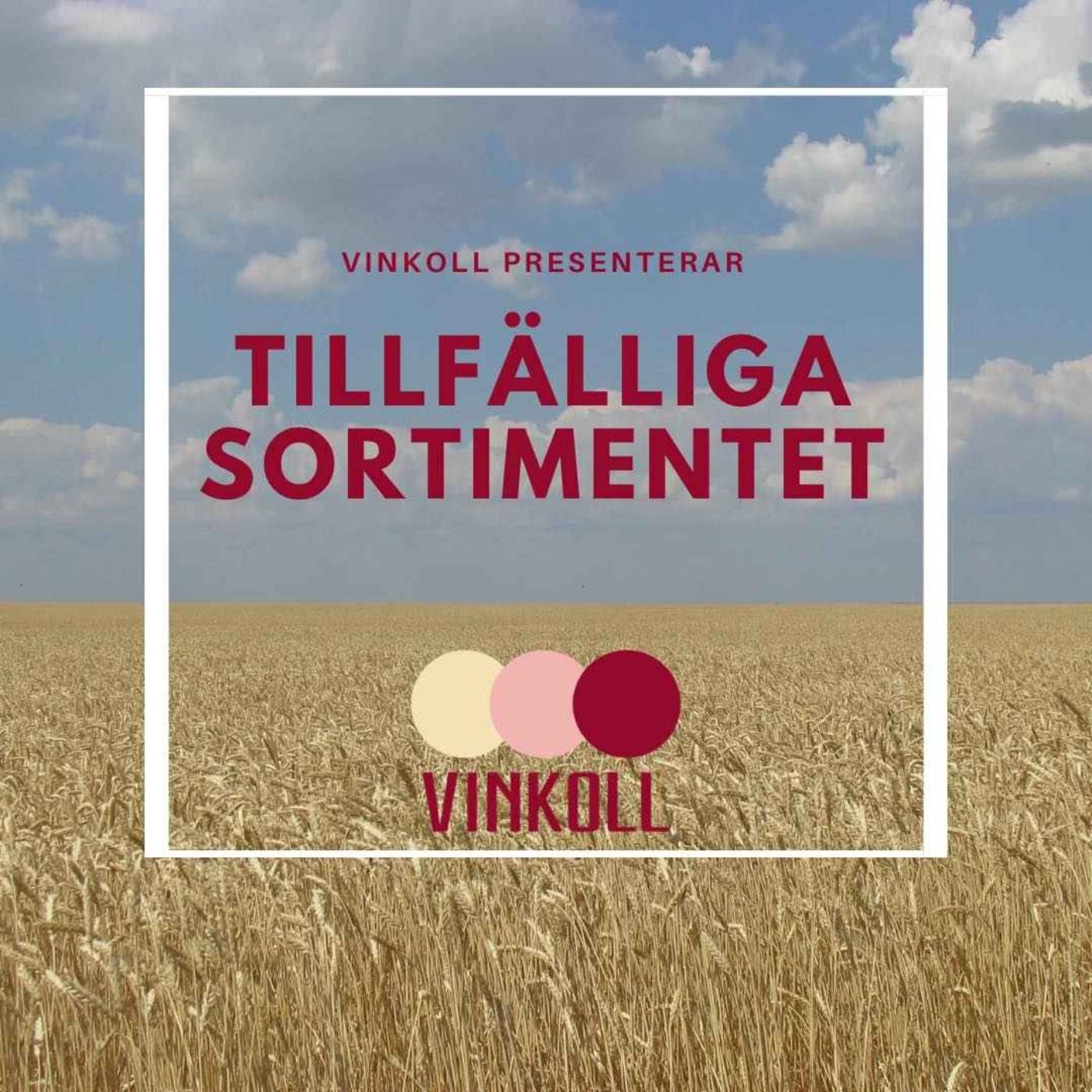 Vinkoll
