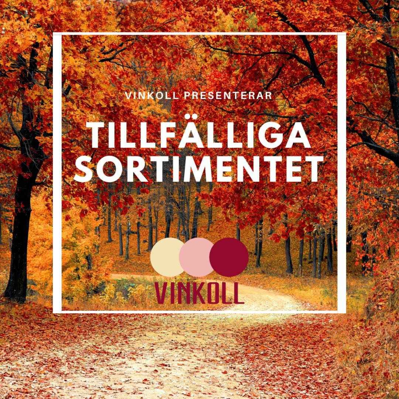 Vinkoll