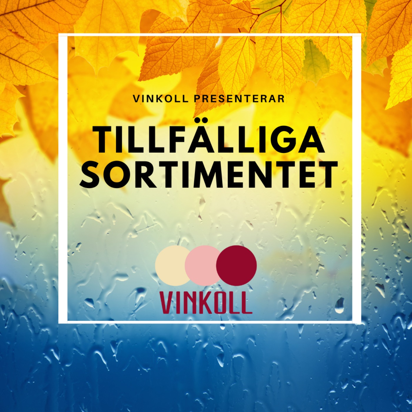 Vinkoll