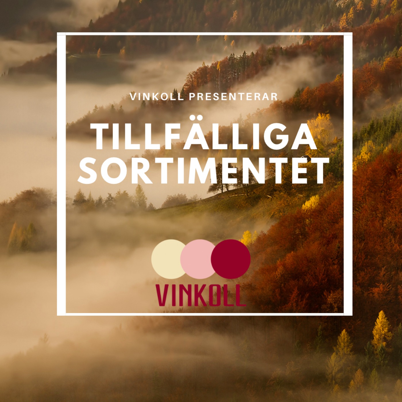 Vinkoll