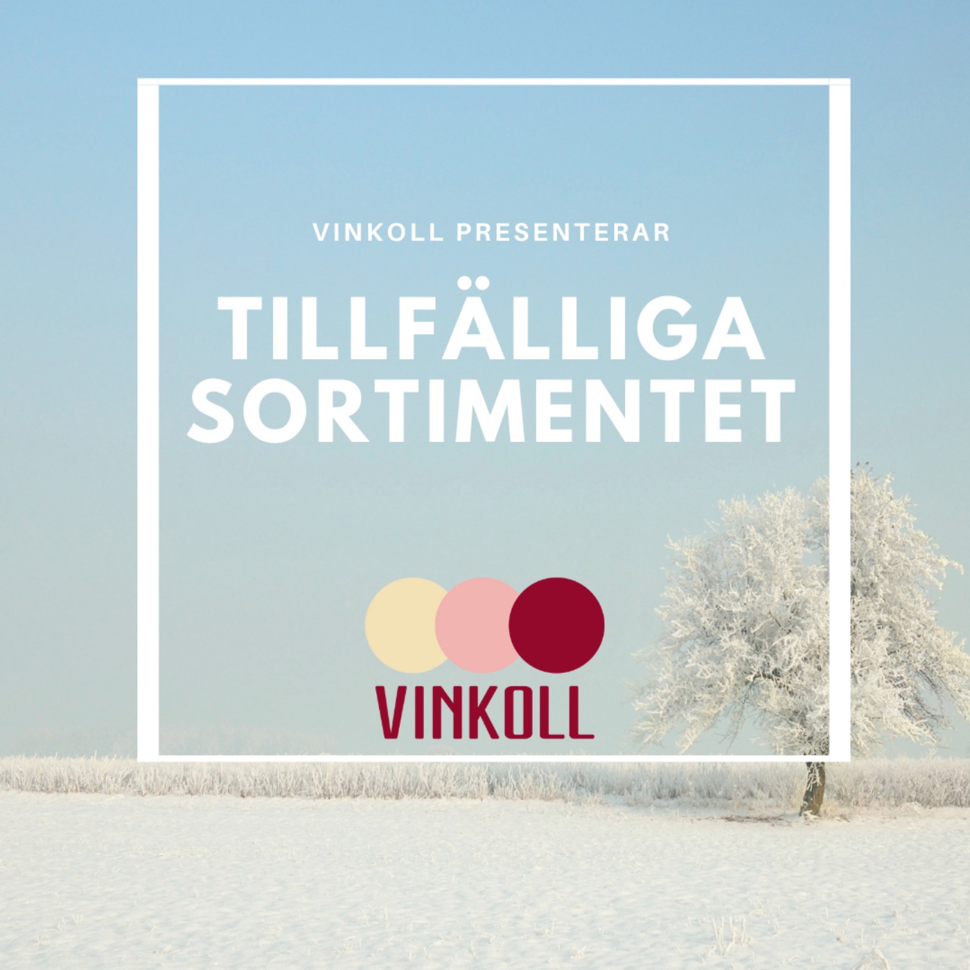 2022 med Vinkoll