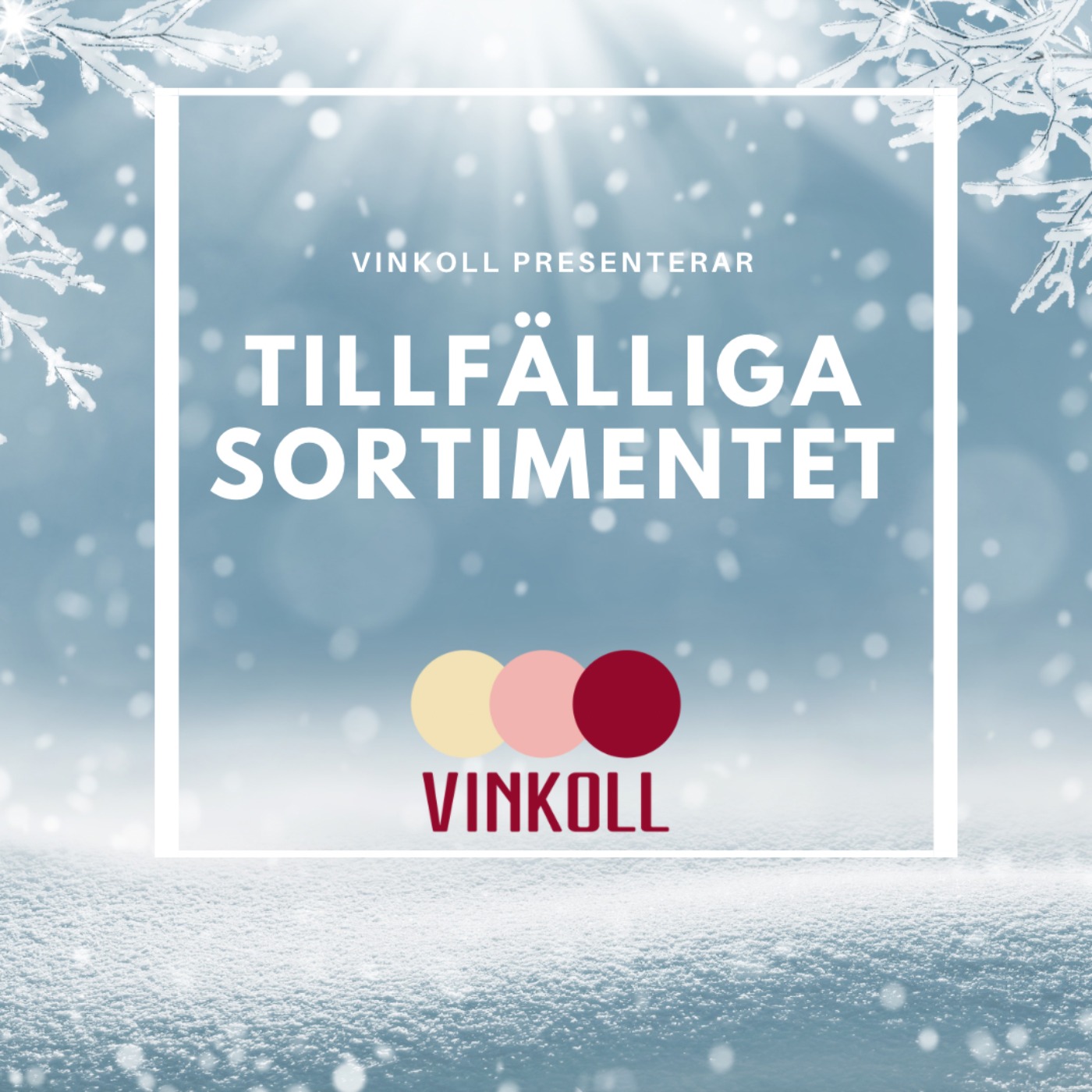 Vinkoll
