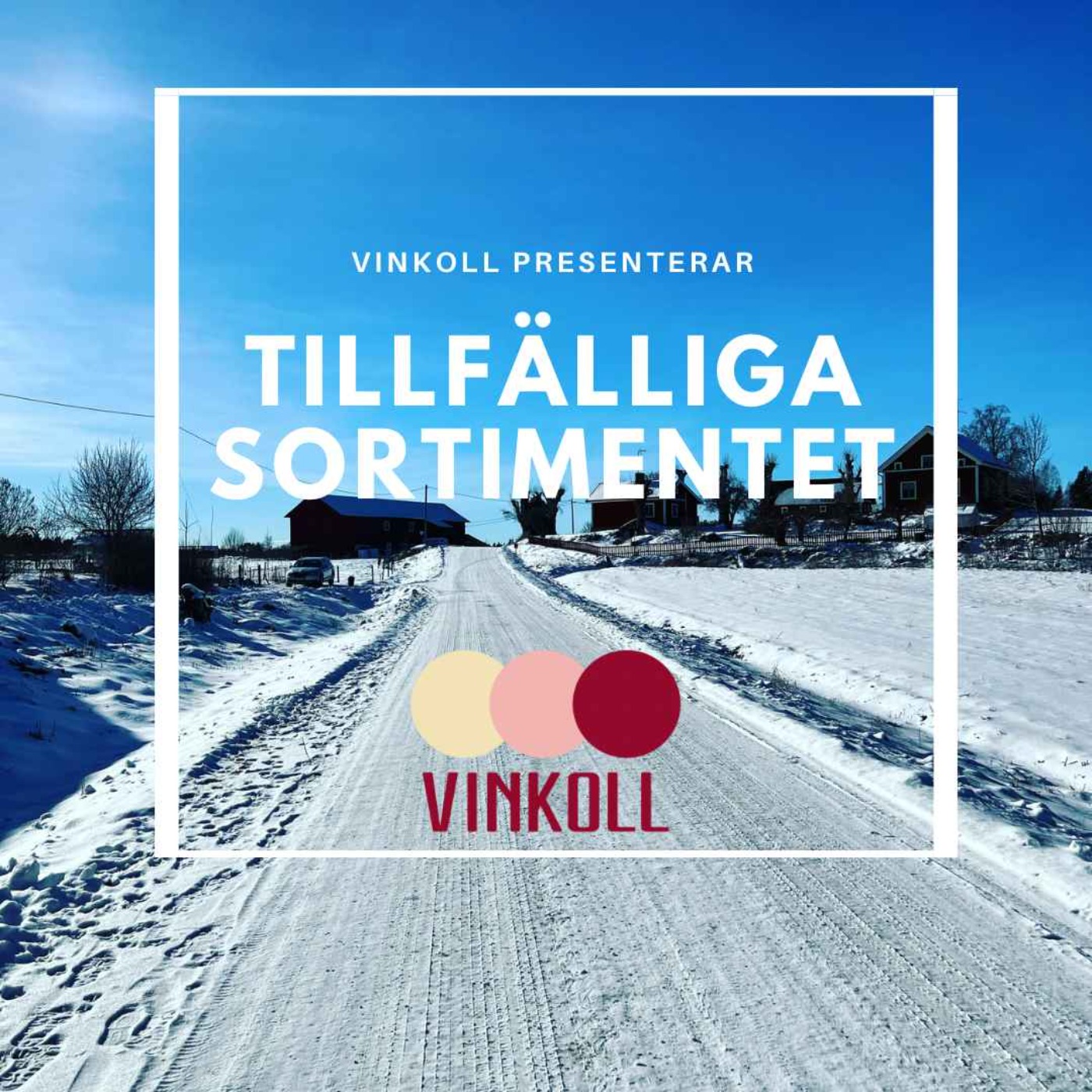 Vinkoll