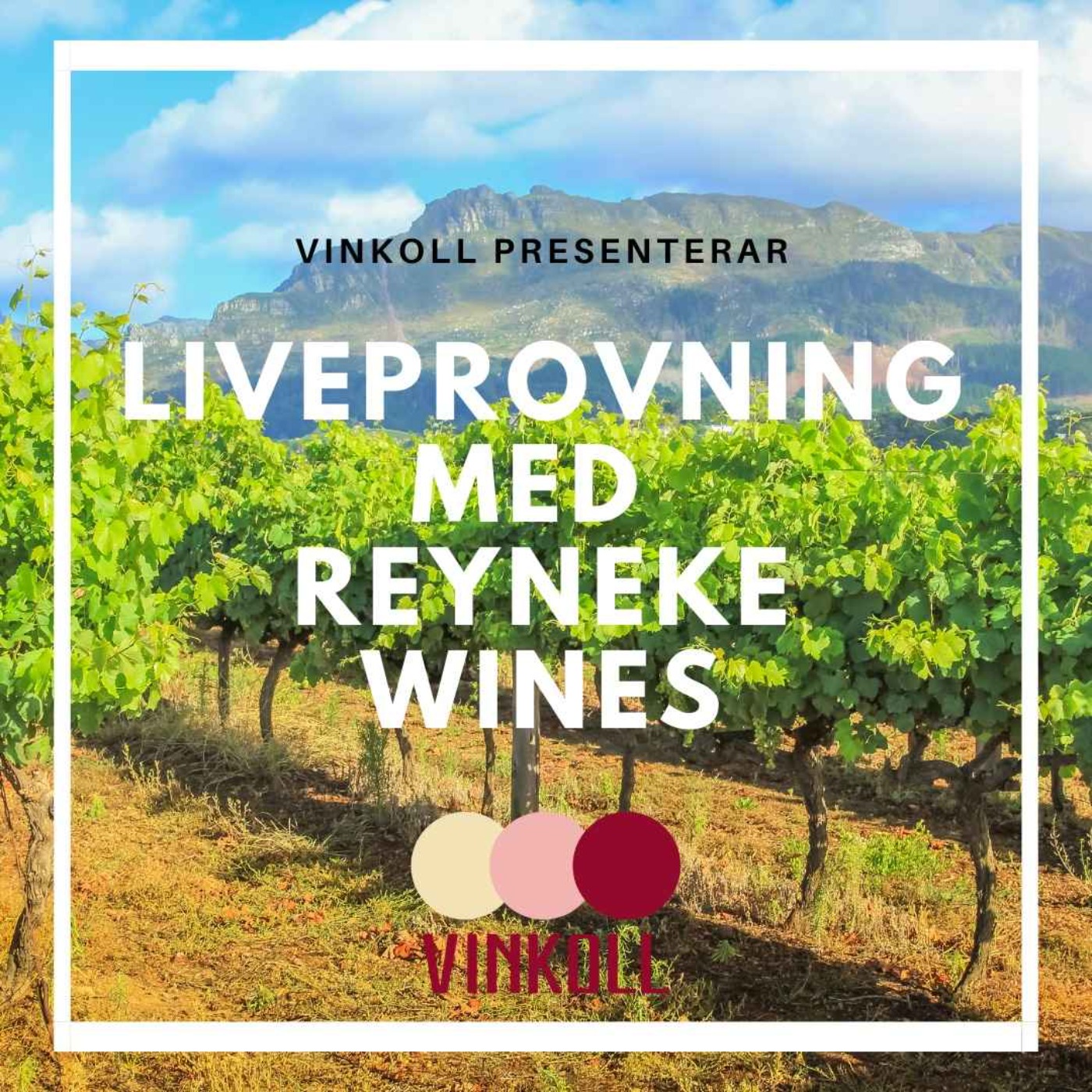 Vinkoll