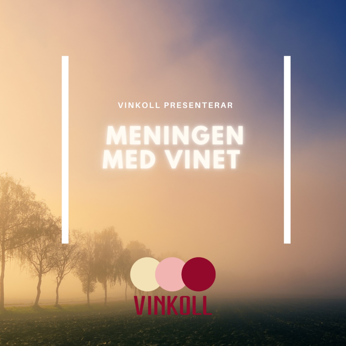 Vinkoll