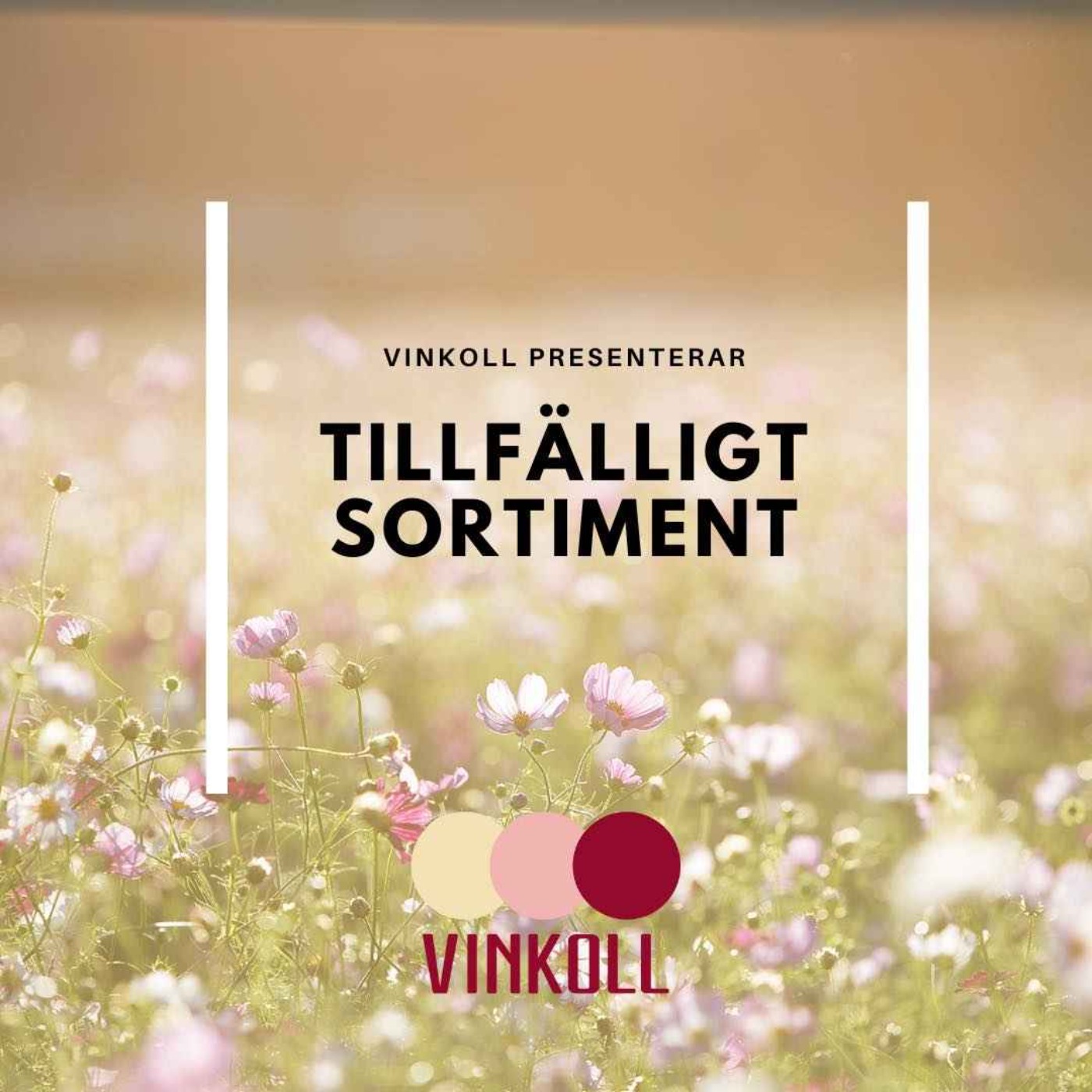 Vinkoll
