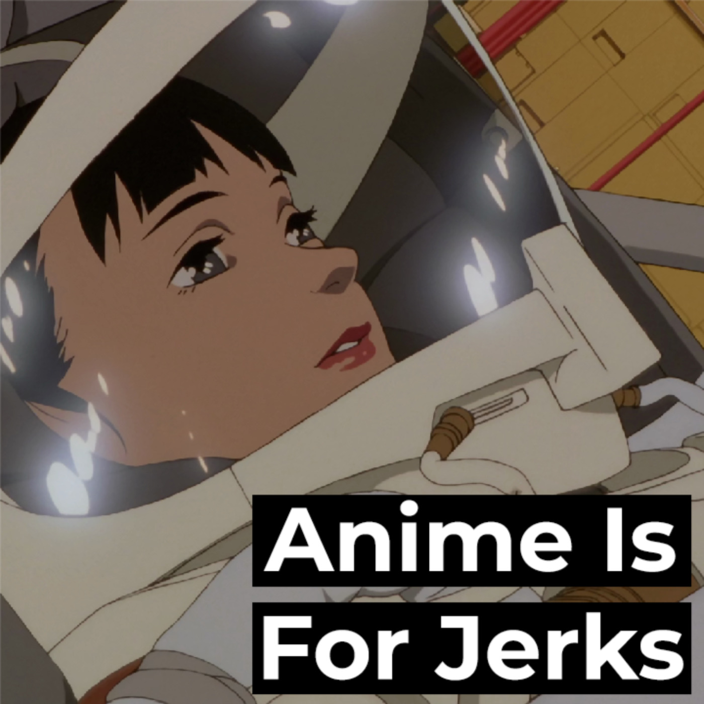 Anime Is For Jerks