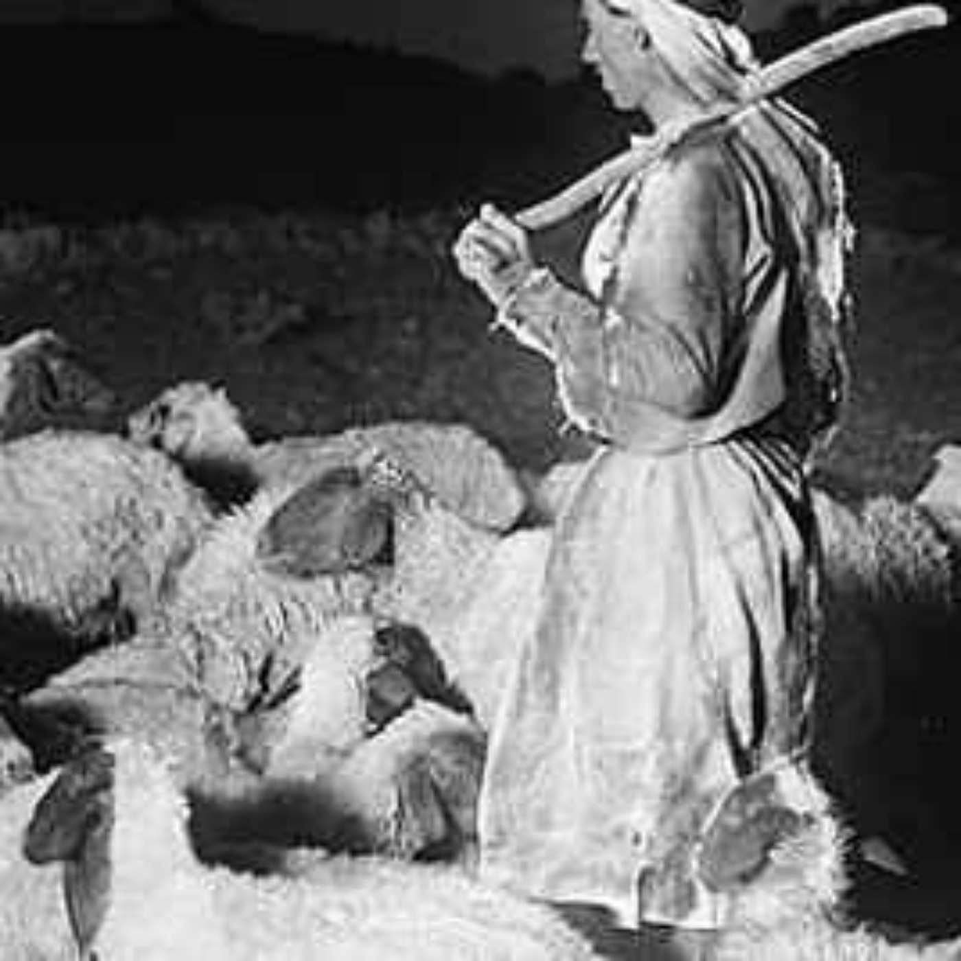 cover art for Tidings: A Shepherd's Story